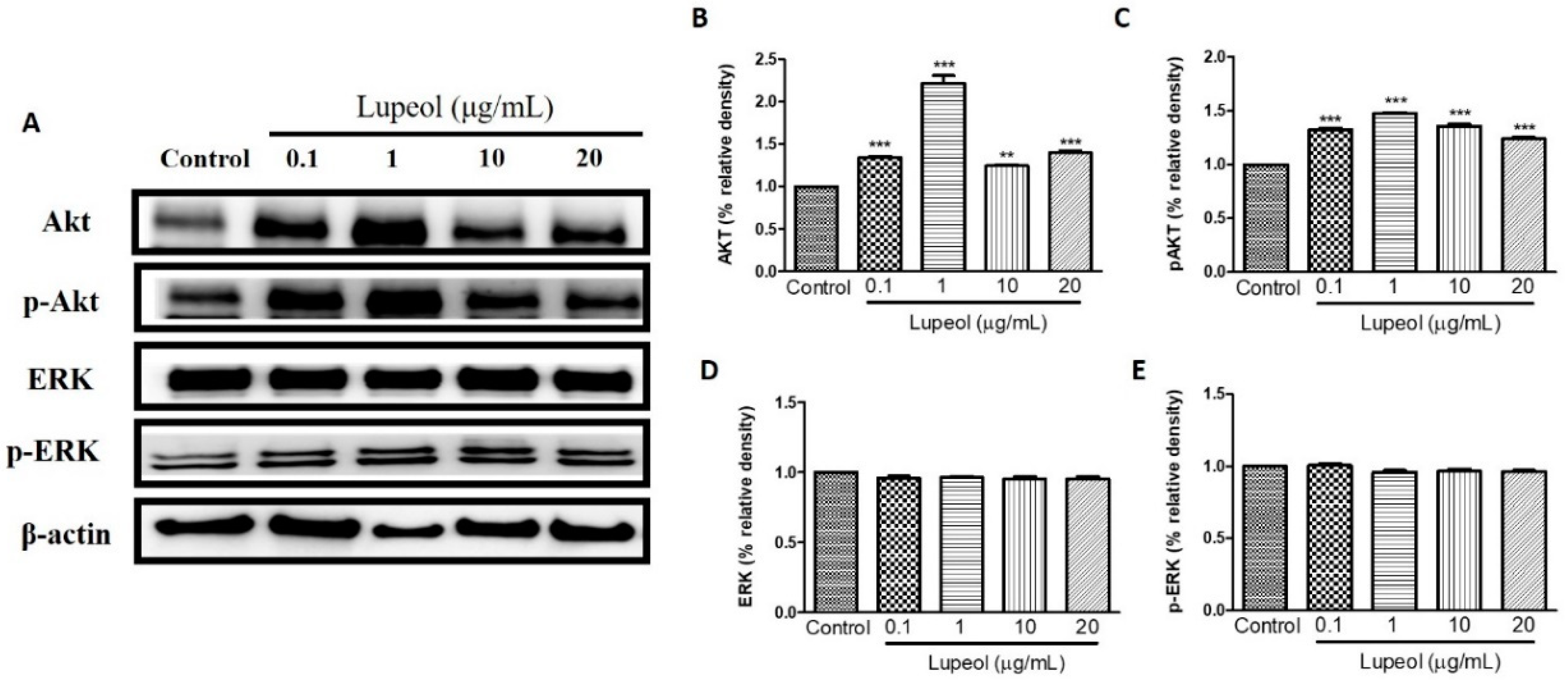 Molecules 23 02819 g006