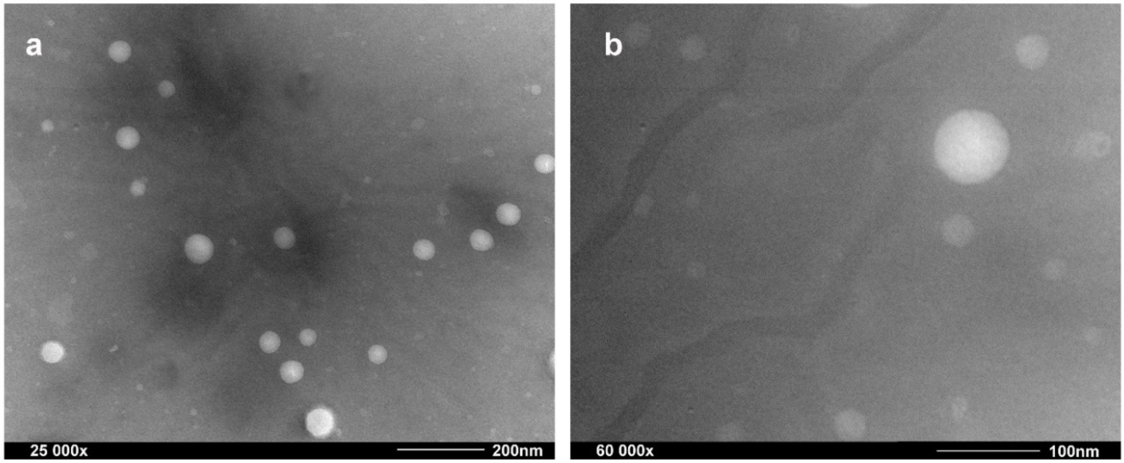 Molecules 23 02822 g001
