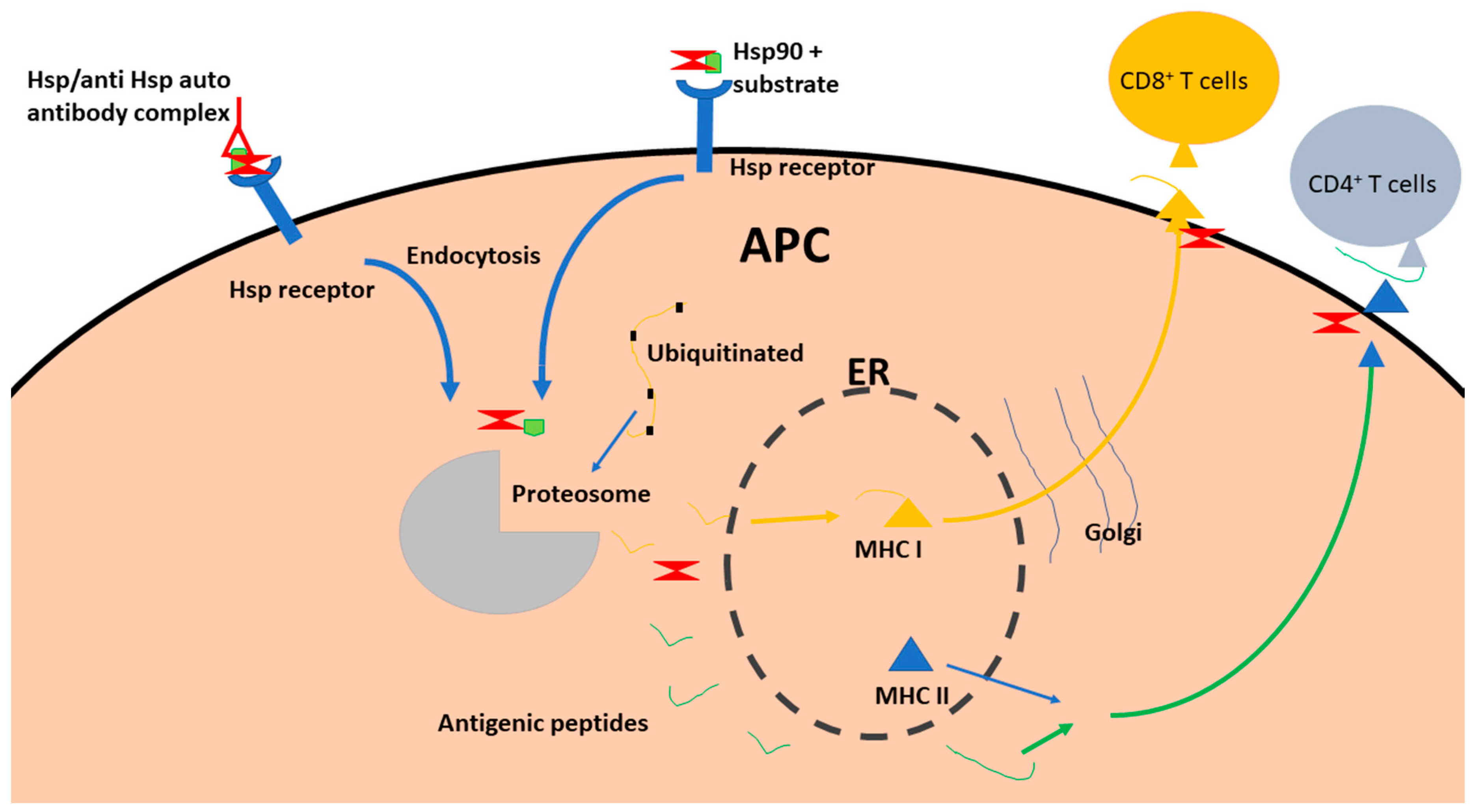Molecules 23 02846 g002