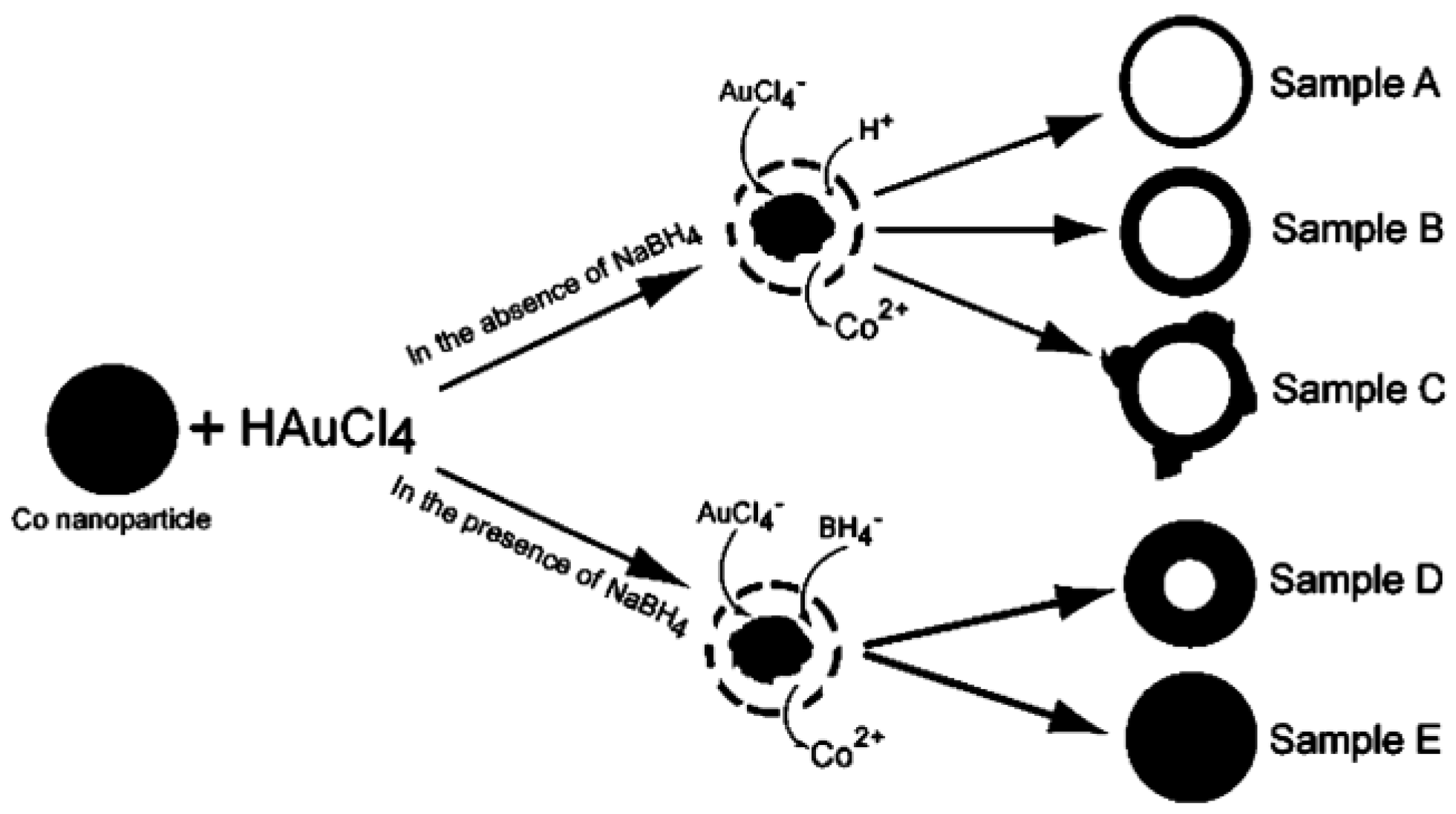 Molecules 23 02851 g010 Molecules 23 02851 g010
