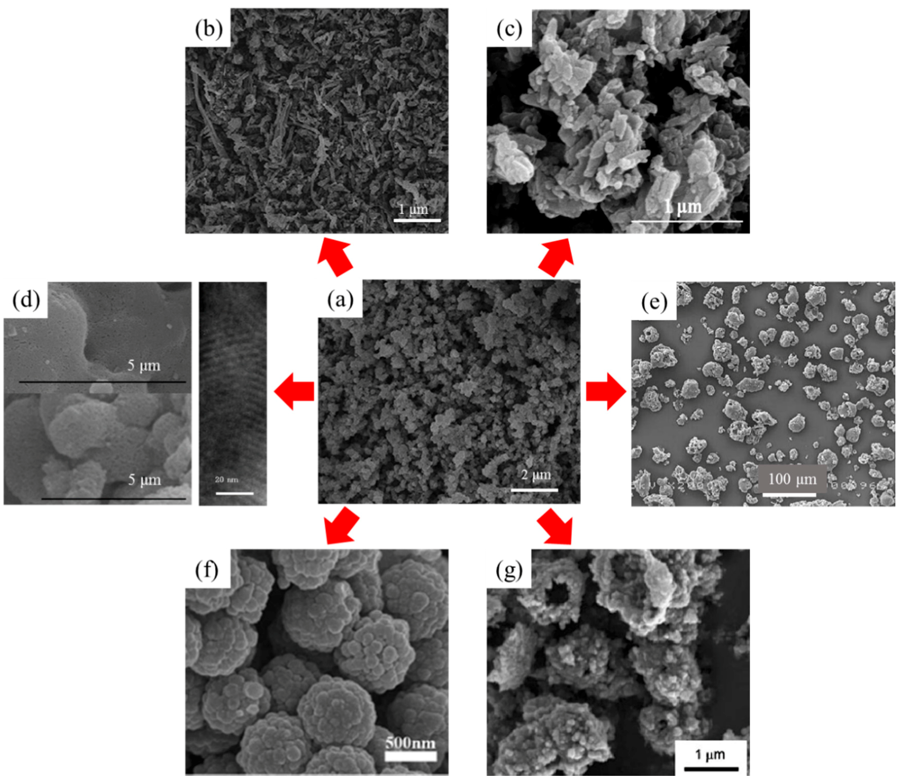 Molecules 23 02854 g002