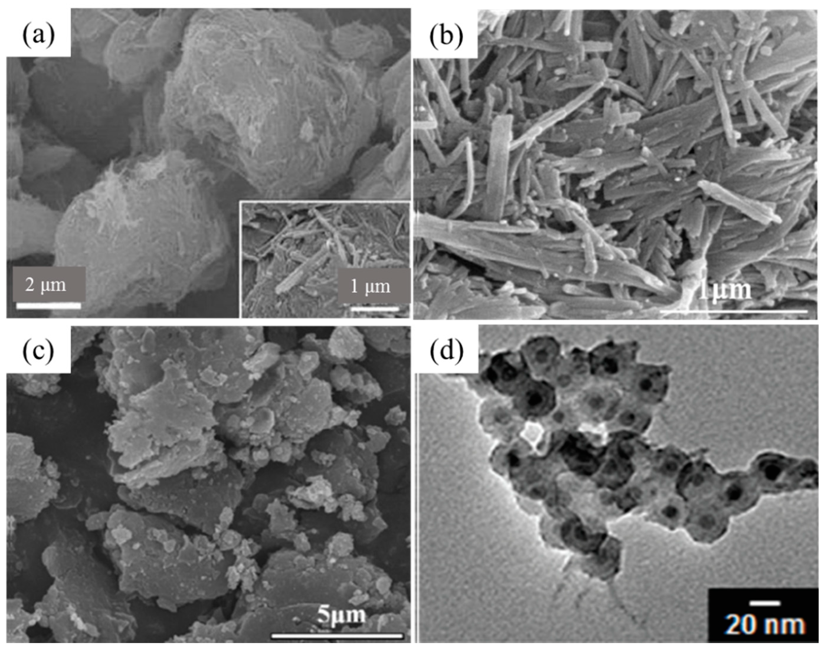Molecules 23 02854 g004