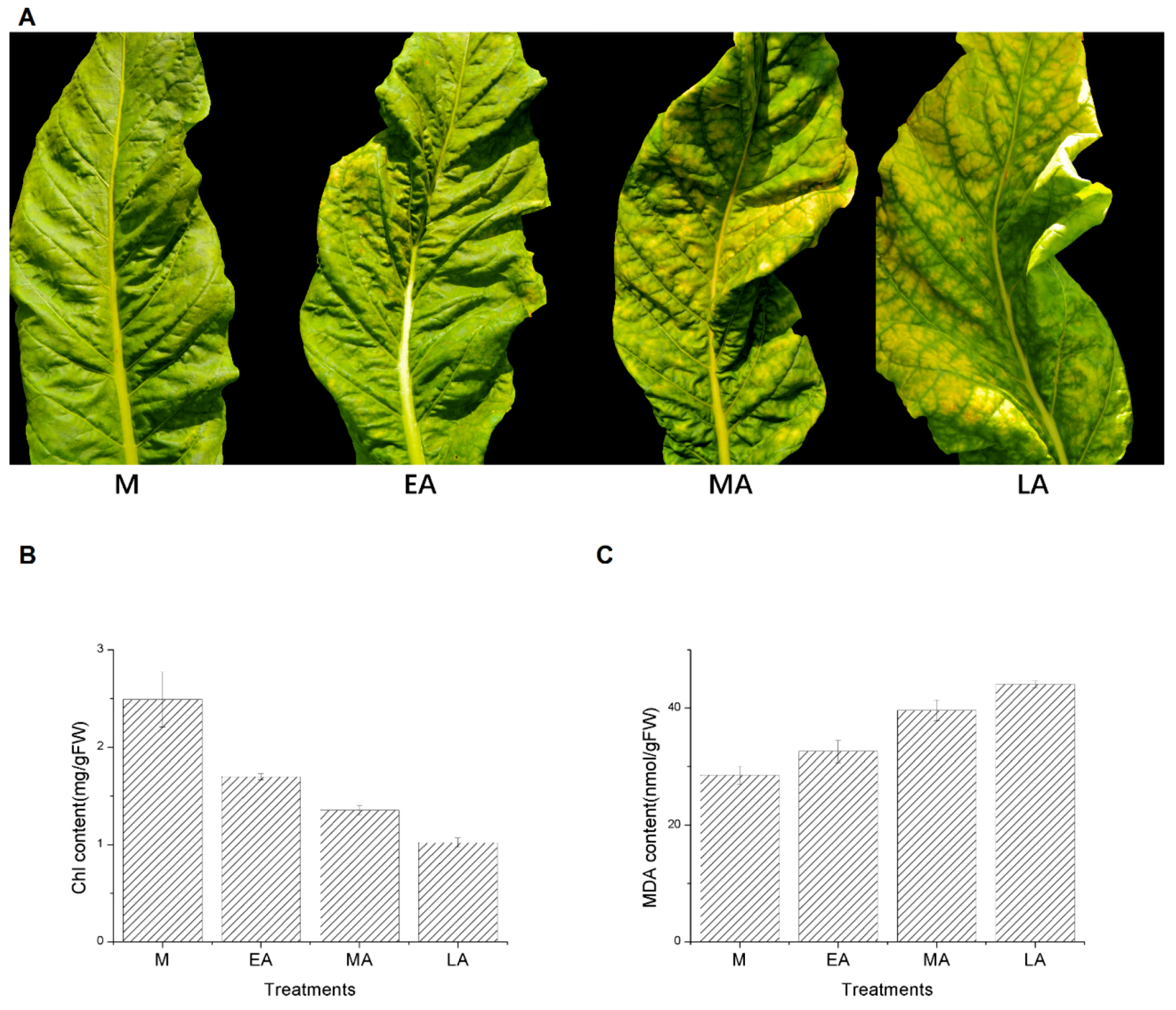 Molecules 23 02856 g001