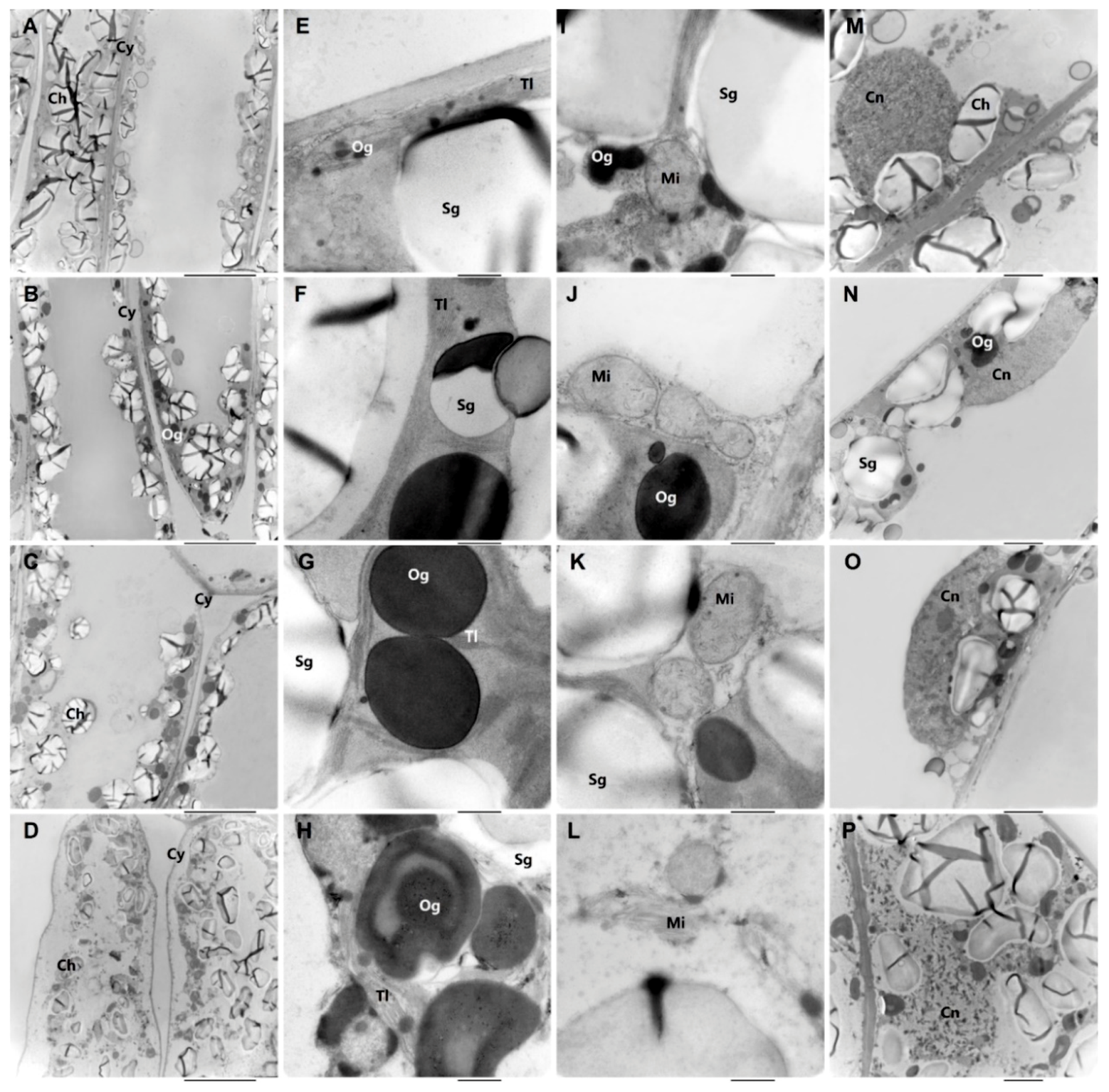 Molecules 23 02856 g002