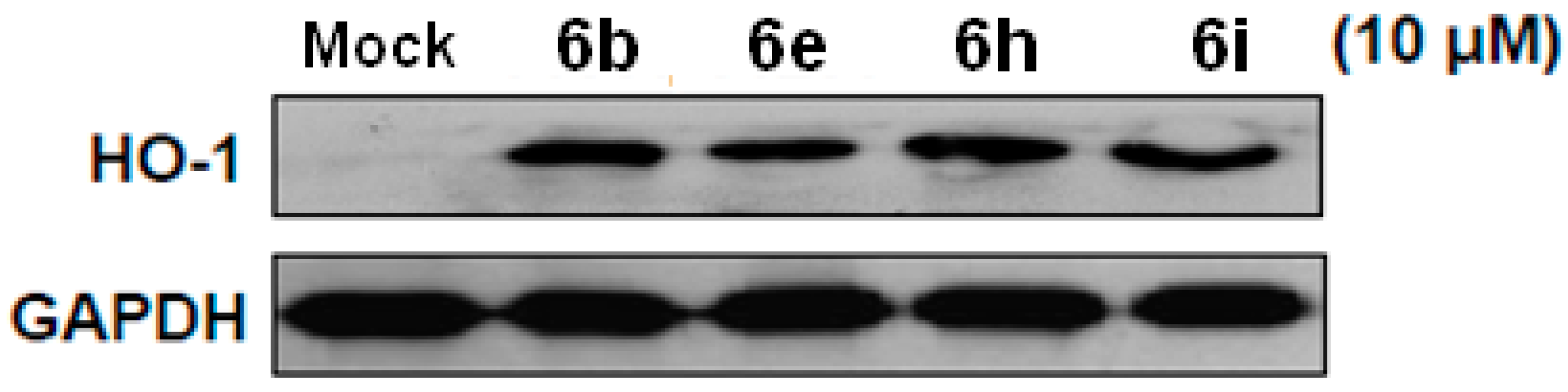 Molecules 23 02863 g005