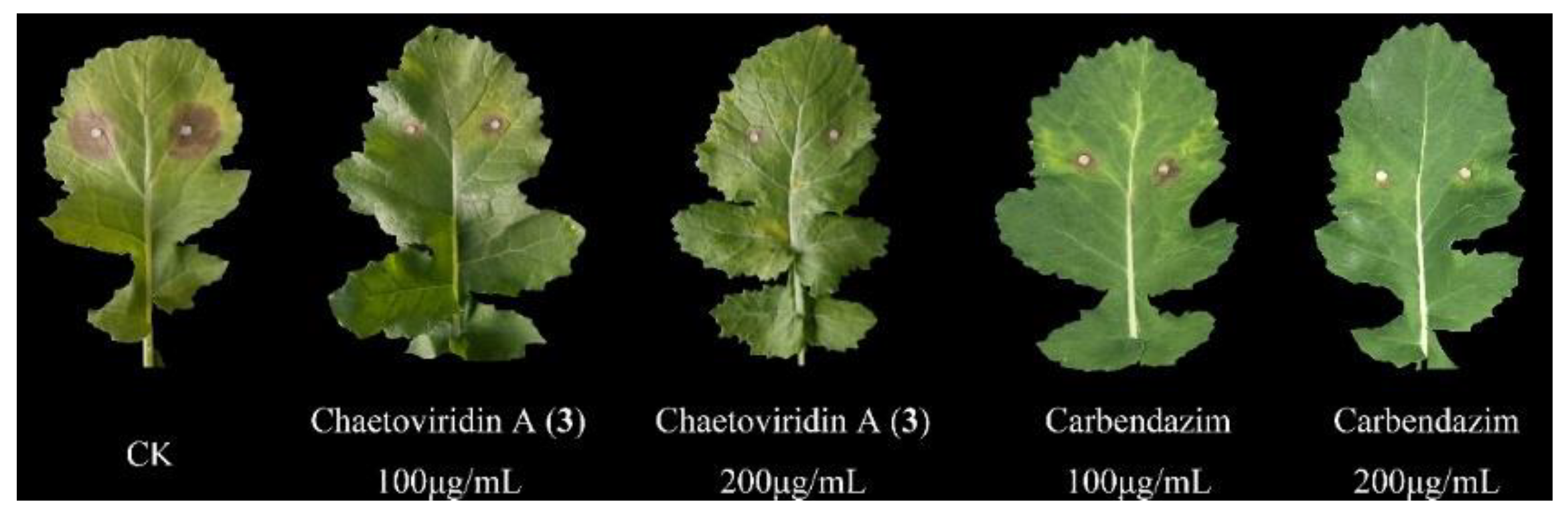 Molecules 23 02873 g004 Molecules 23 02873 g004