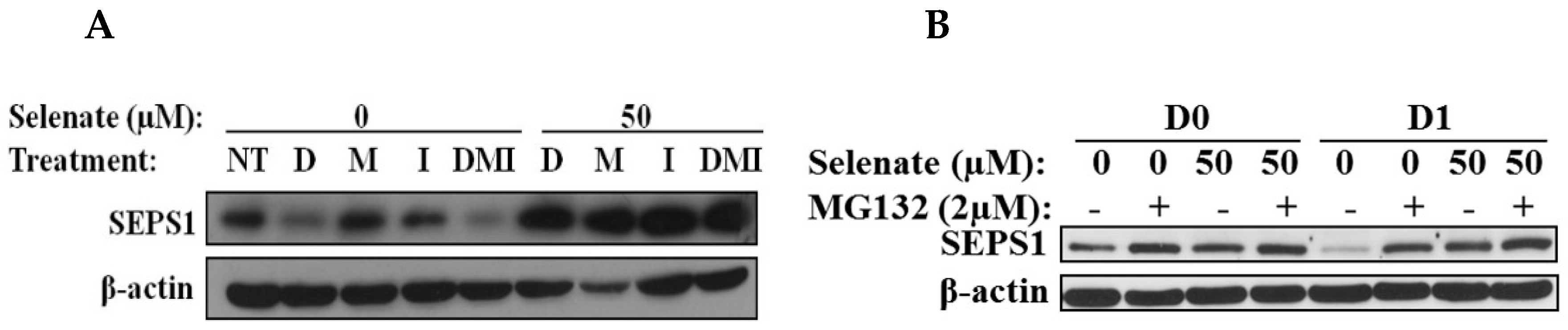 Molecules 23 02882 g005