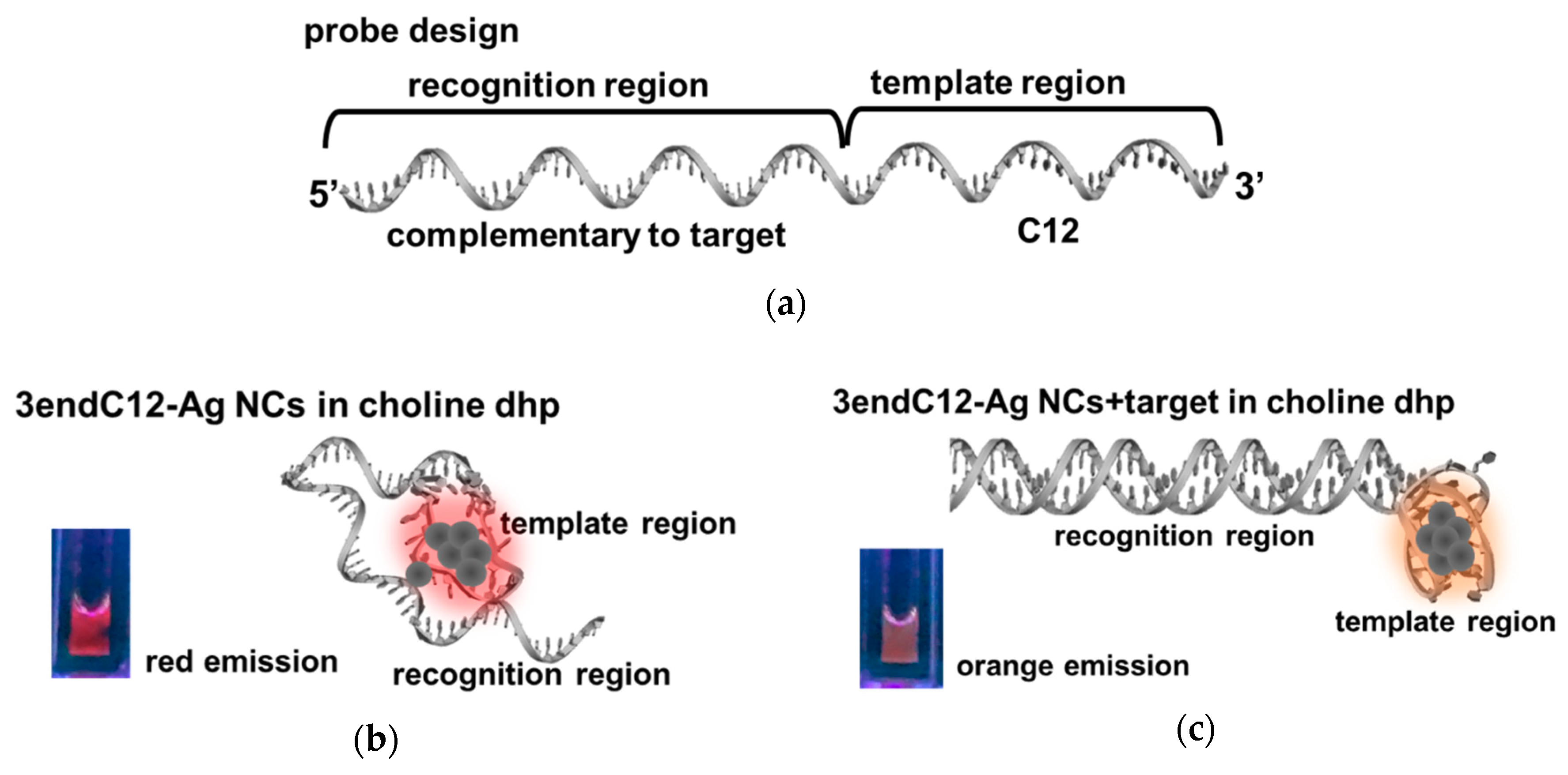 Molecules 23 02889 g006
