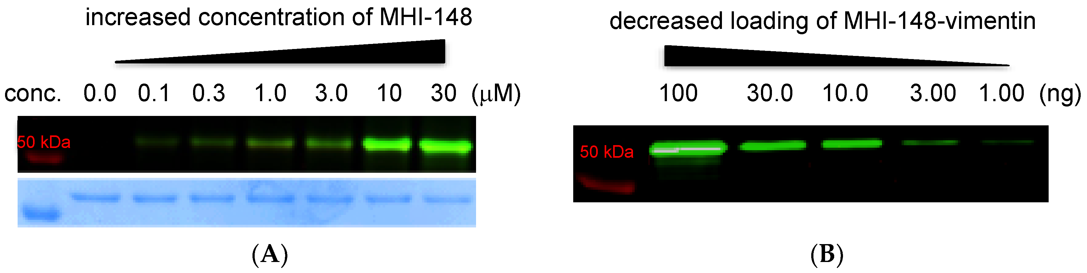 Molecules 23 02900 g005