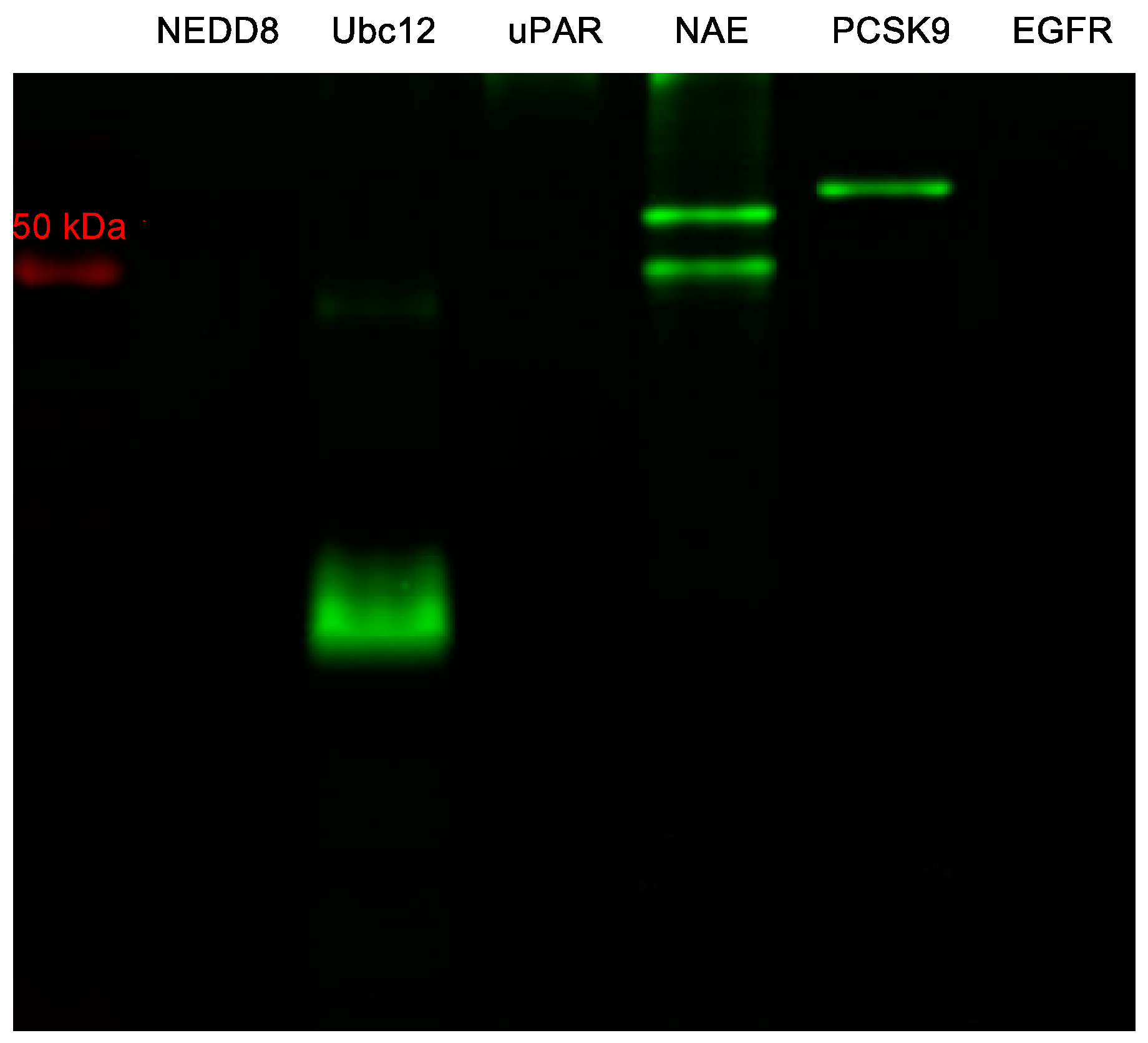 Molecules 23 02900 g006