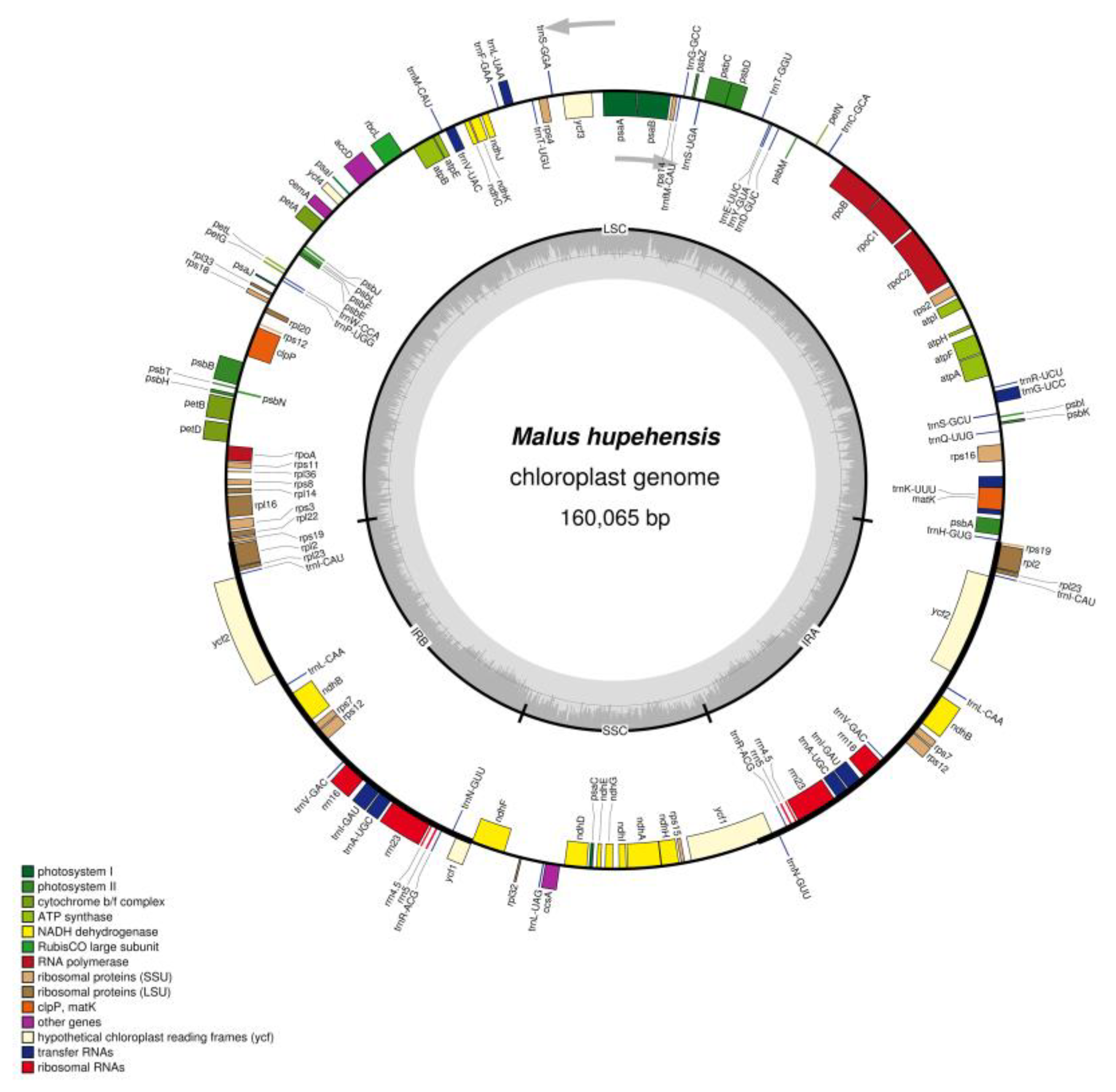 Molecules 23 02917 g001 Molecules 23 02917 g001