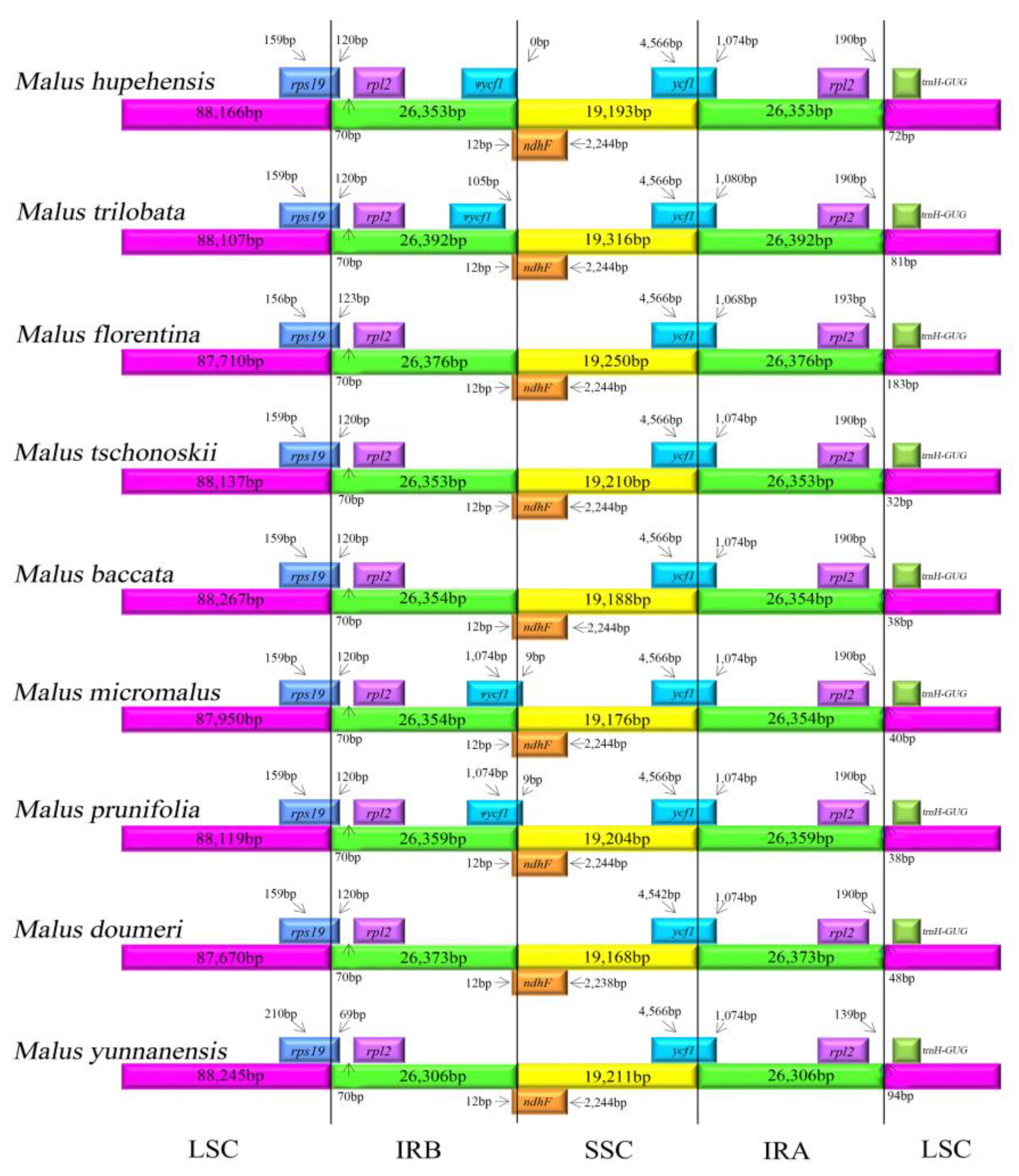 Molecules 23 02917 g004 Molecules 23 02917 g004