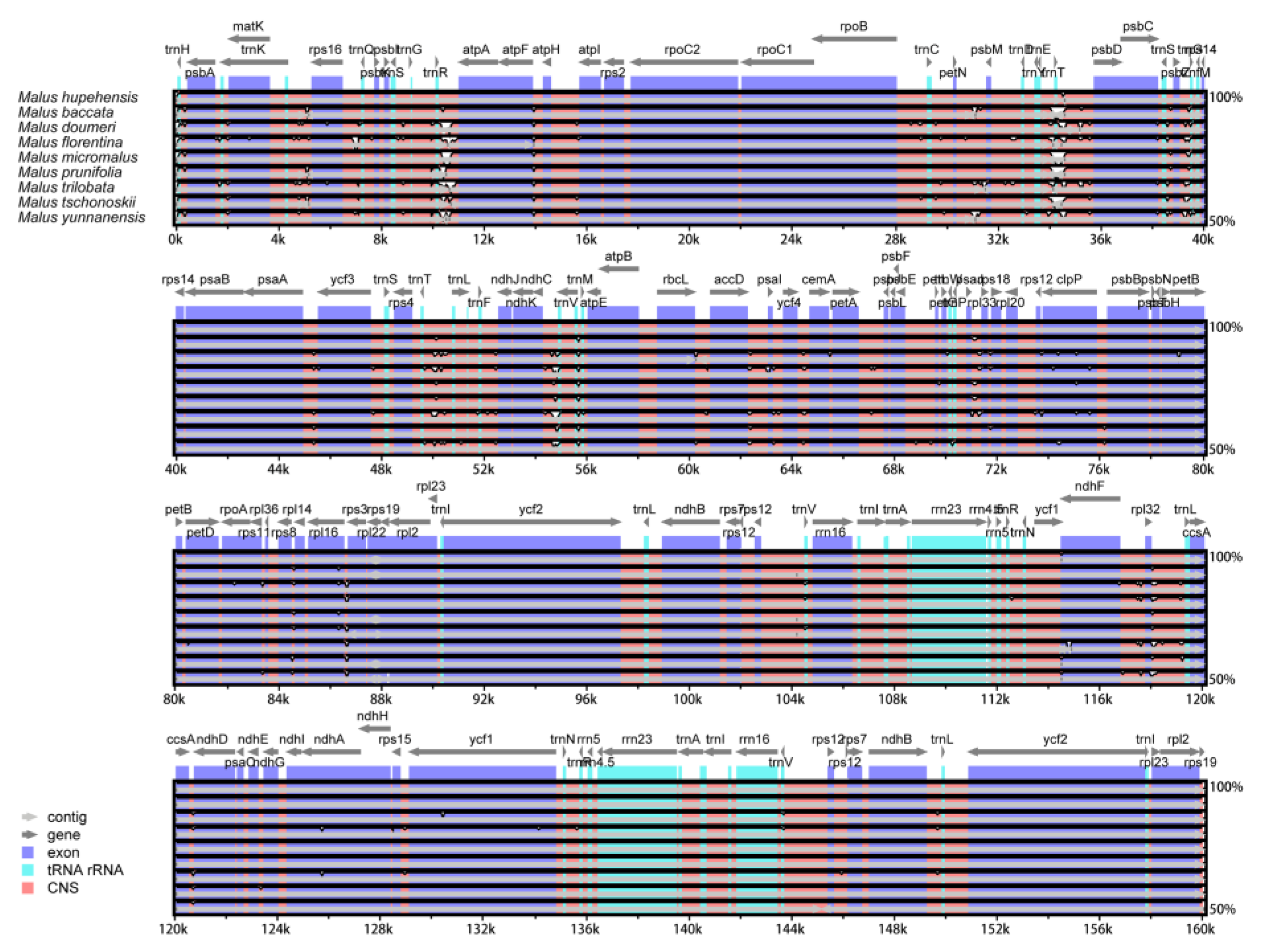 Molecules 23 02917 g005 Molecules 23 02917 g005