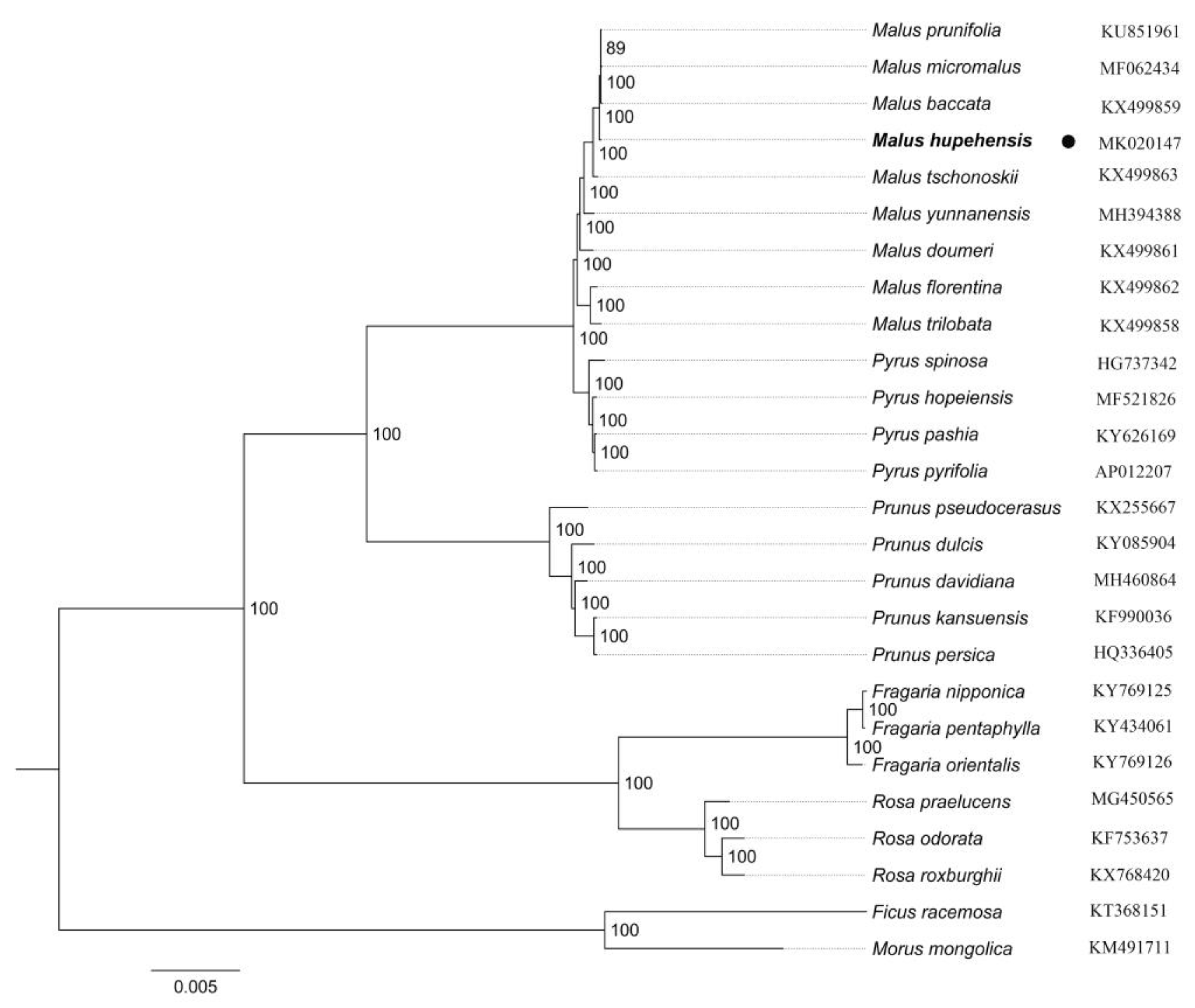 Molecules 23 02917 g006 Molecules 23 02917 g006
