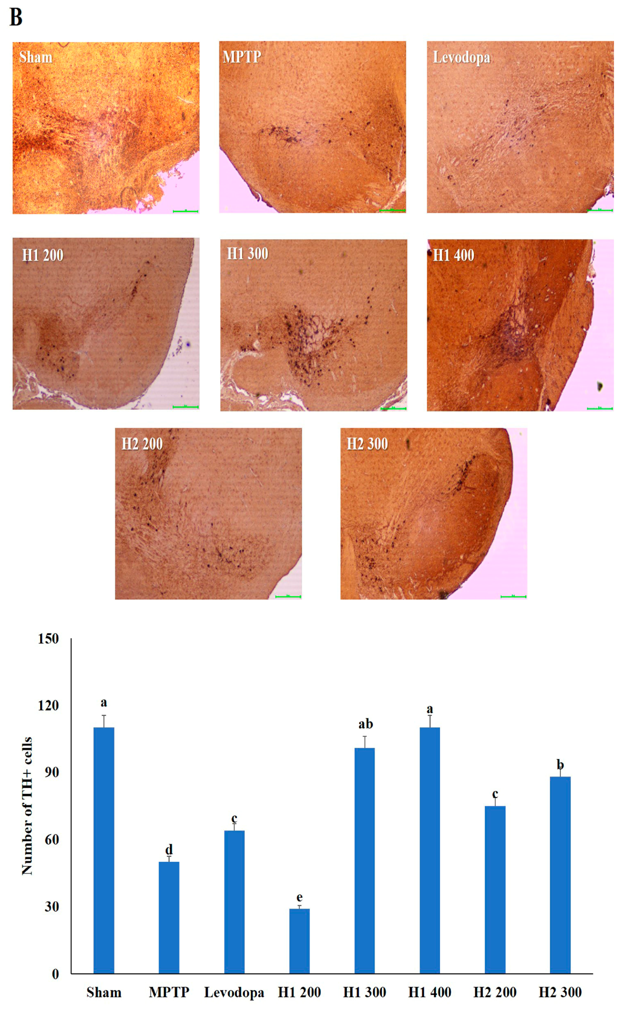 Molecules 23 02920 g004b Molecules 23 02920 g004b