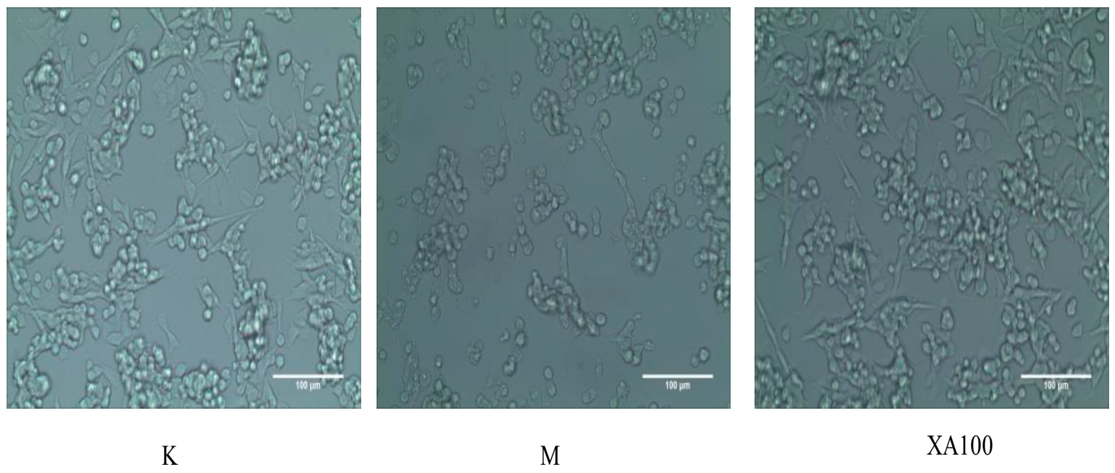 Molecules 23 02929 g002