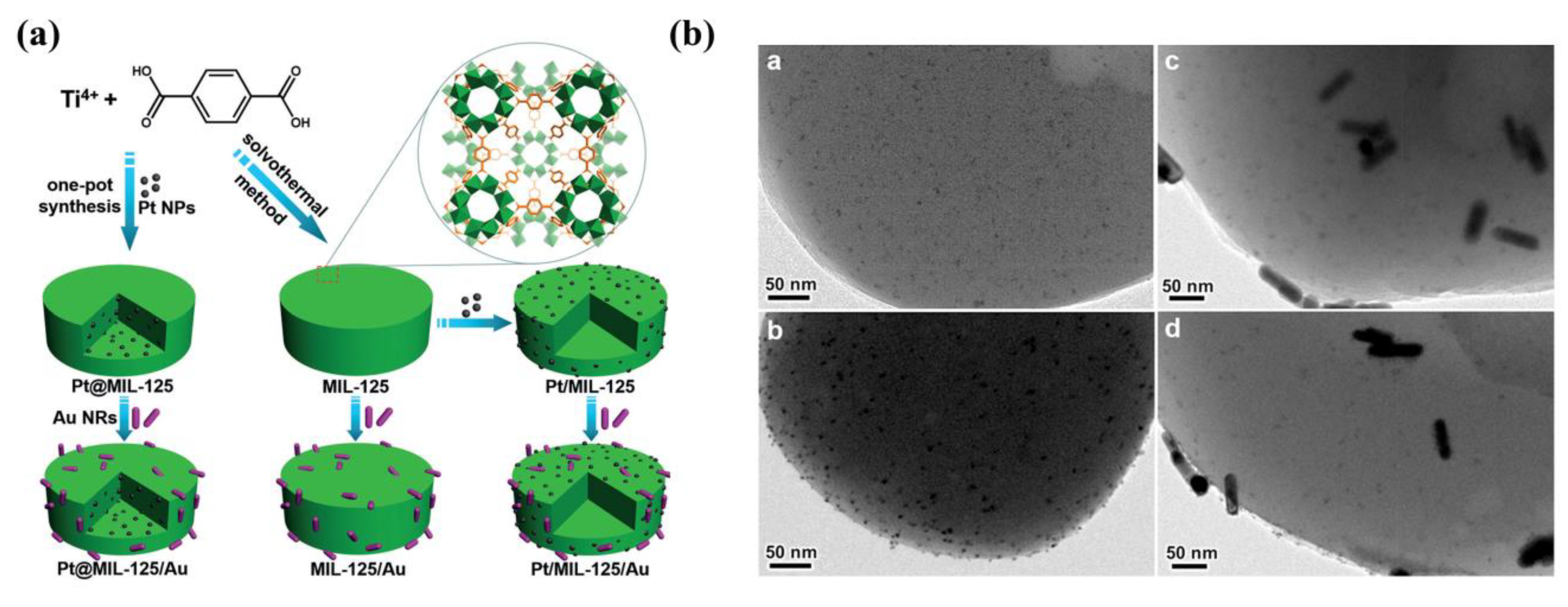 Molecules 23 02947 g002
