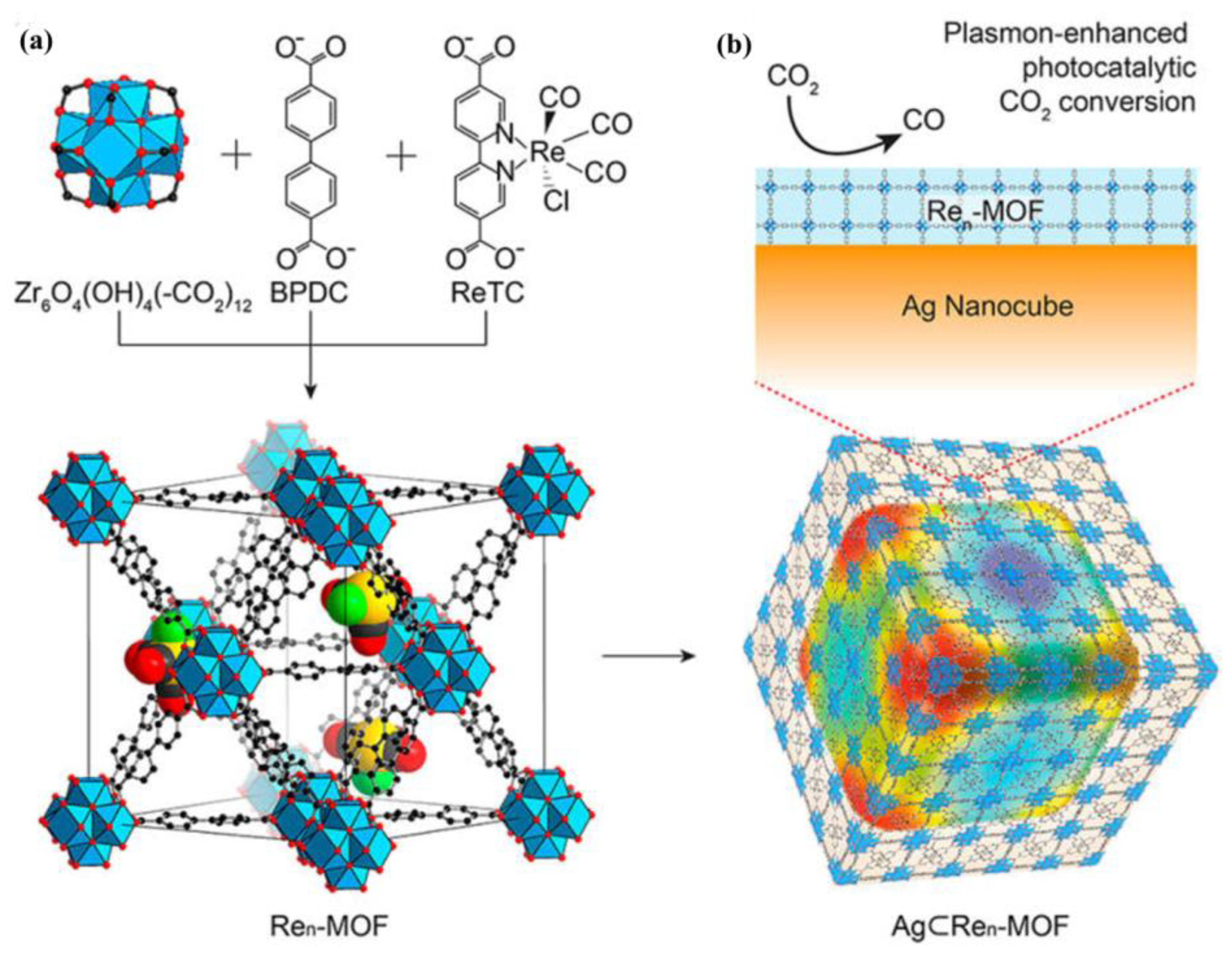 Molecules 23 02947 g008