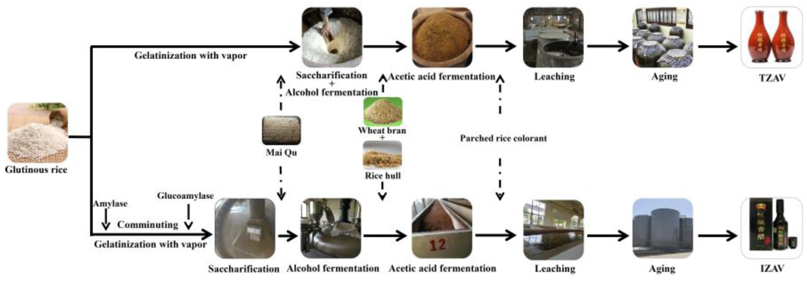 Molecules 23 02949 g001
