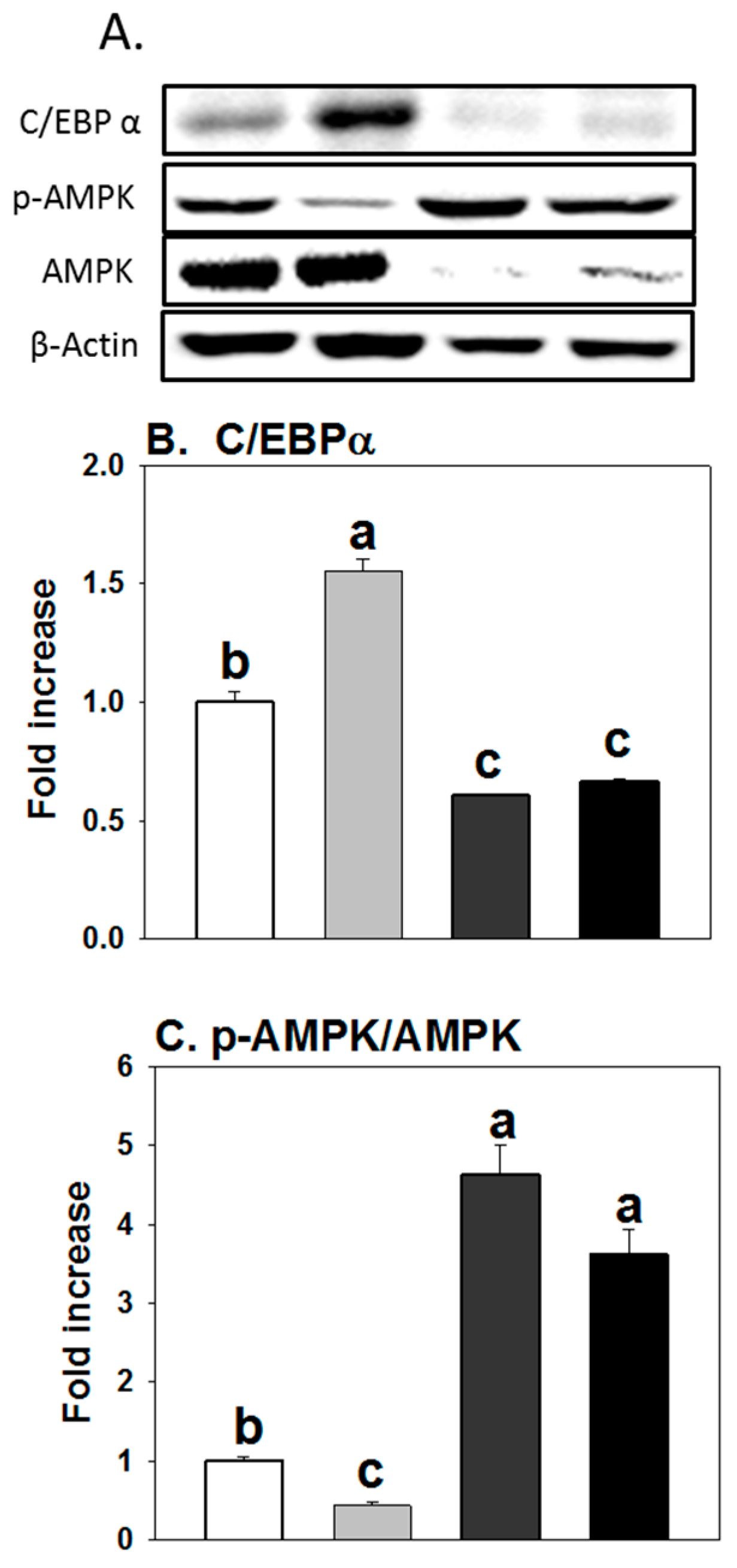 Molecules 23 02950 g004