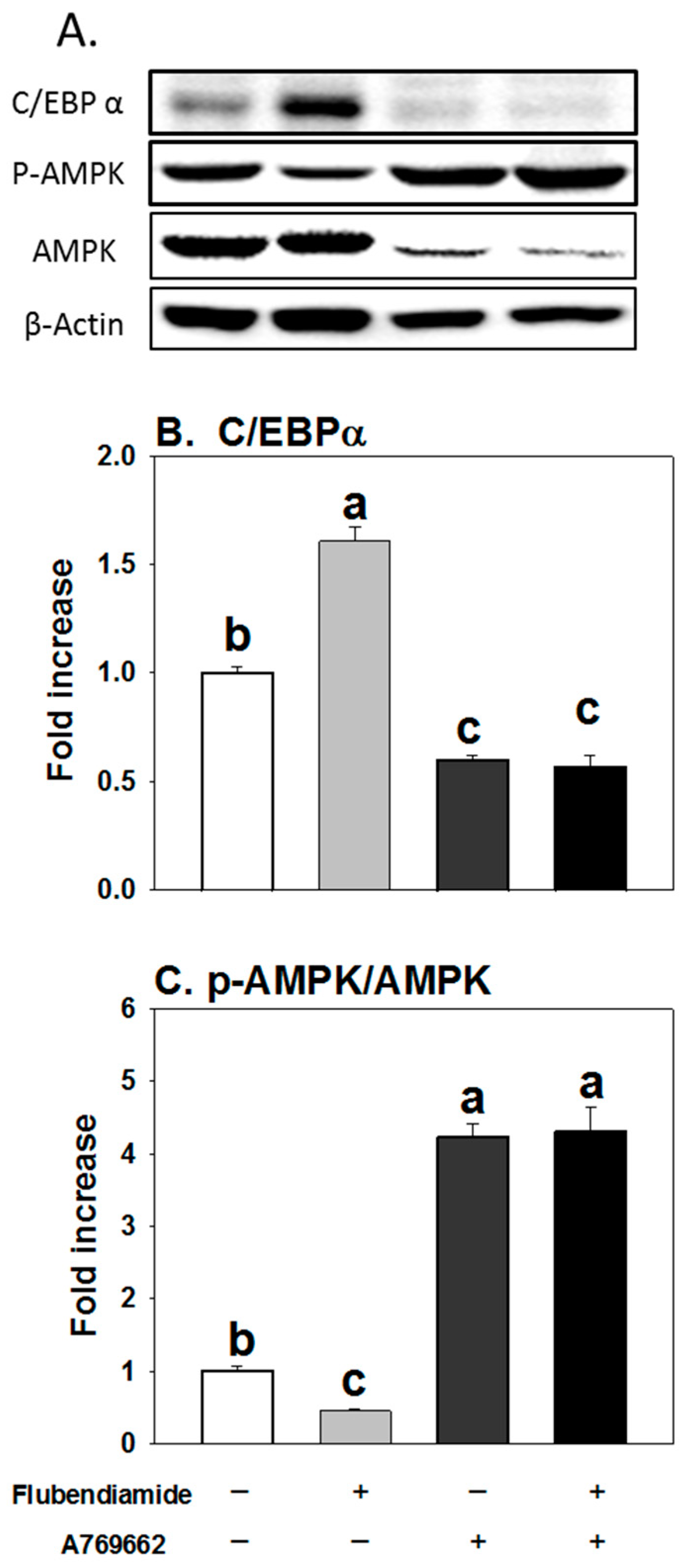 Molecules 23 02950 g006