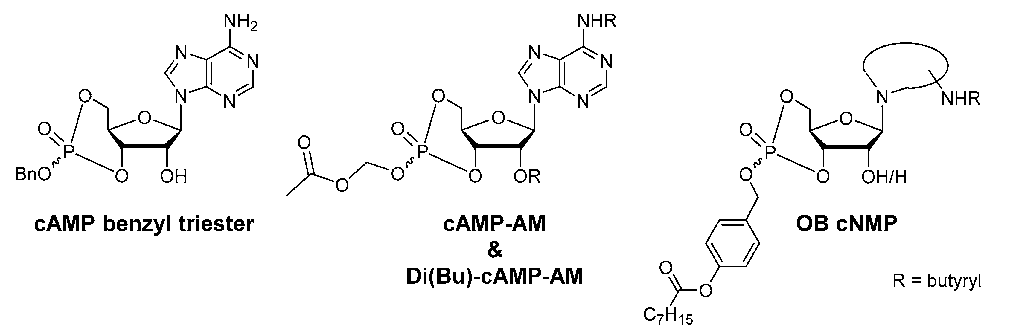 Molecules 23 02960 g001