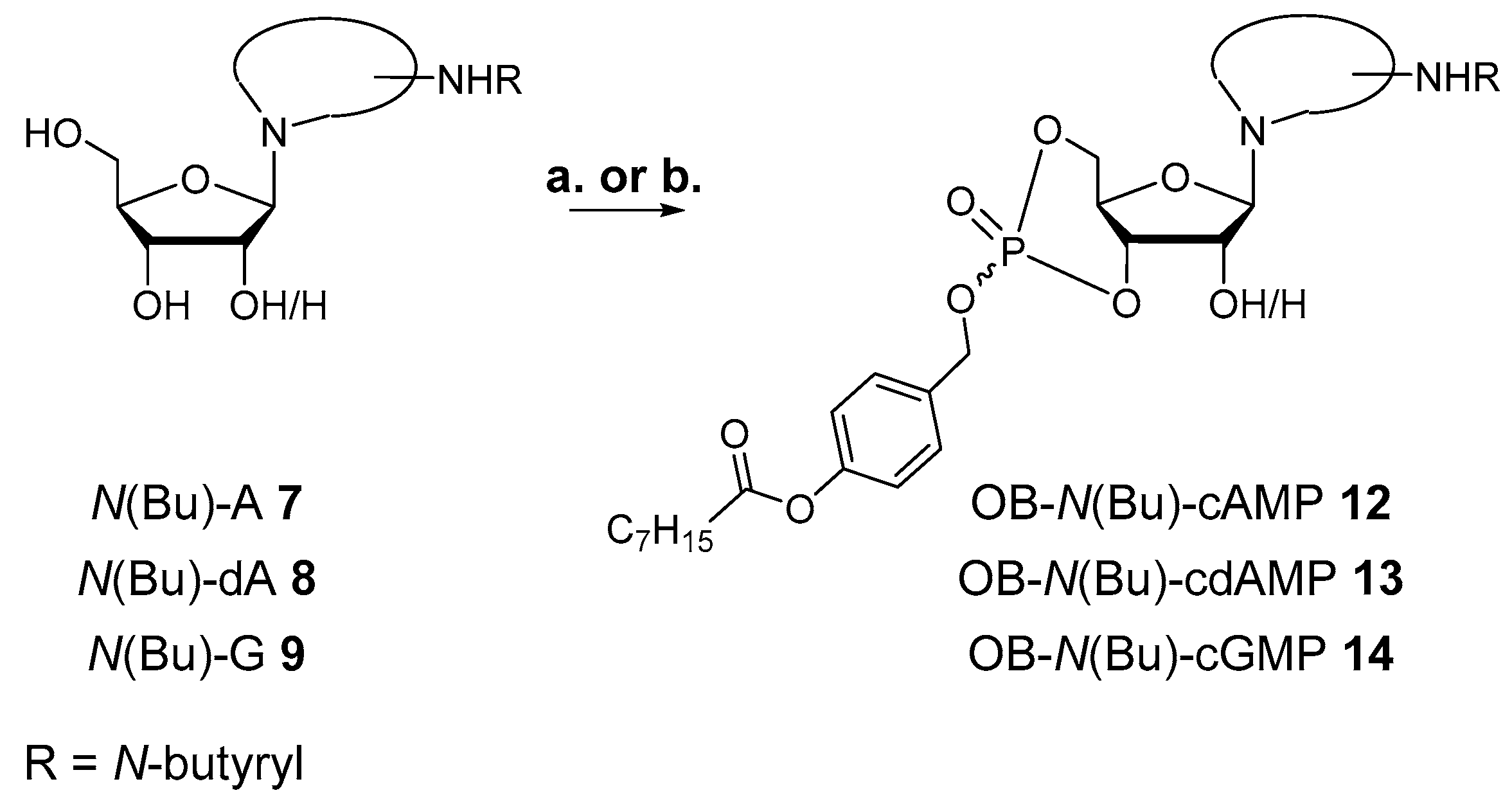 Molecules 23 02960 sch004