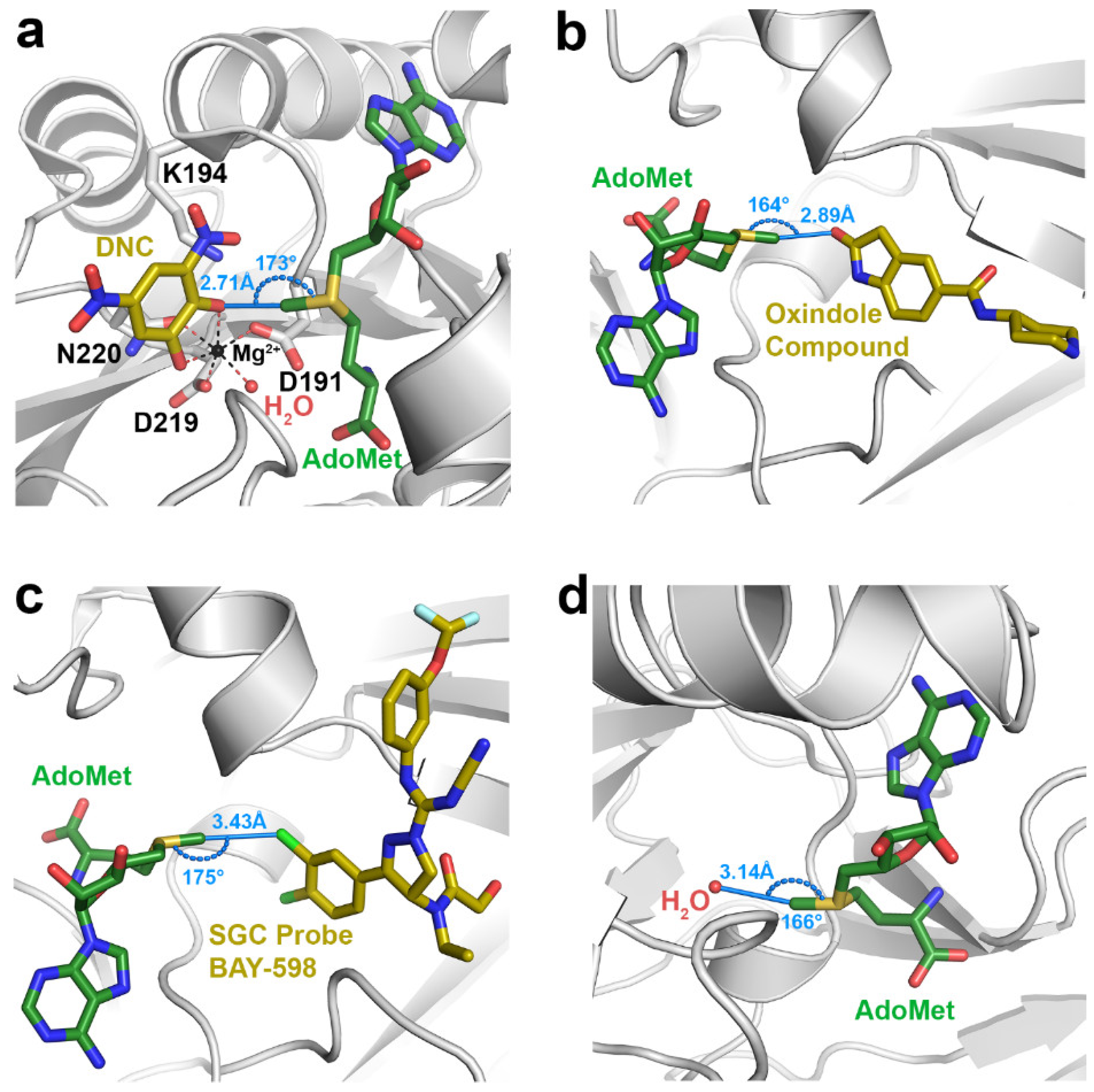 Molecules 23 02965 g001