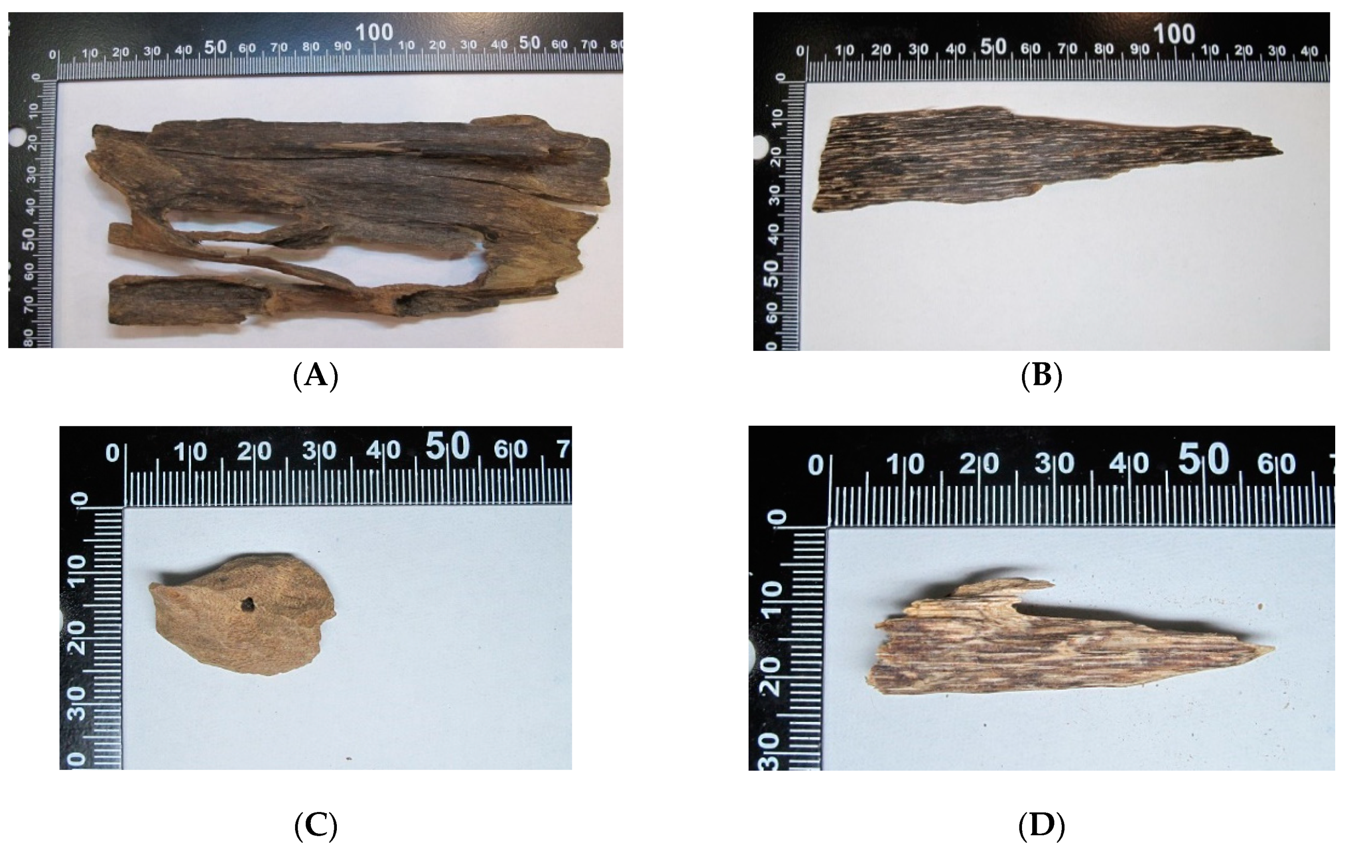 Molecules 23 02969 g001 Molecules 23 02969 g001