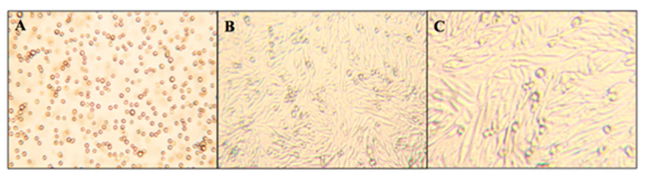 Molecules 23 02979 g004 Molecules 23 02979 g004