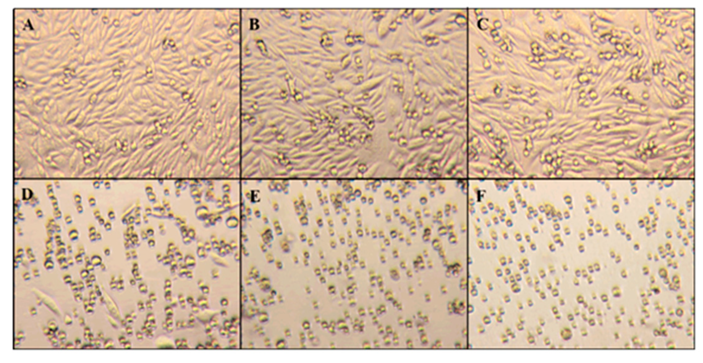 Molecules 23 02979 g006 Molecules 23 02979 g006