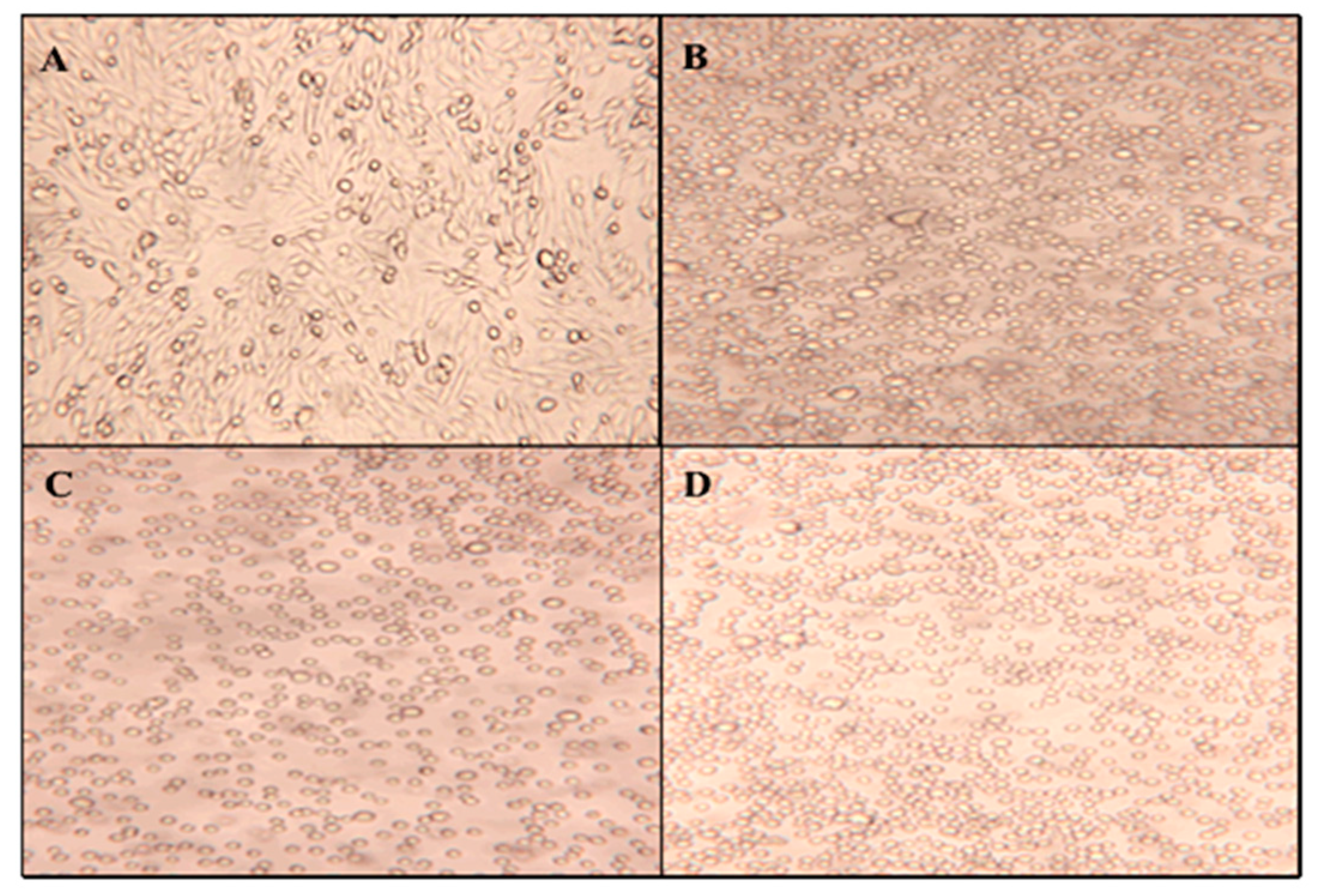 Molecules 23 02979 g008 Molecules 23 02979 g008