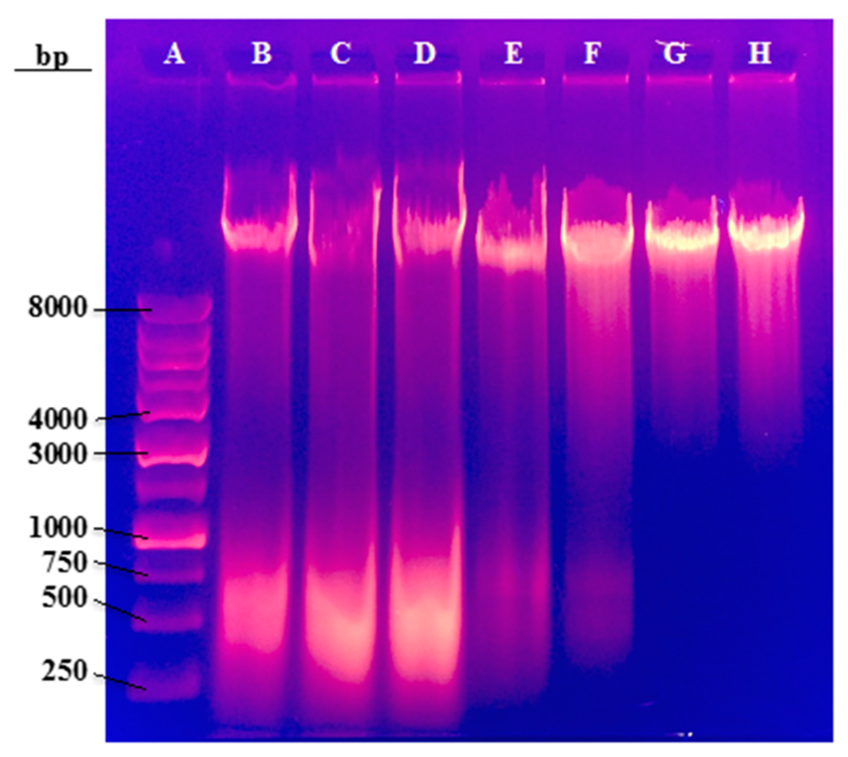 Molecules 23 02979 g009 Molecules 23 02979 g009