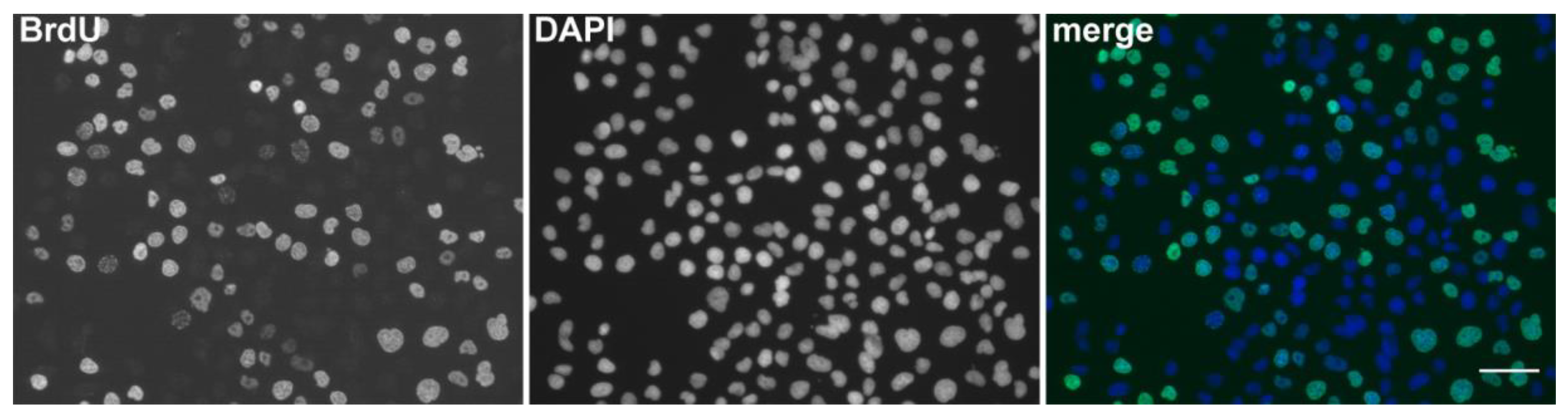 Molecules 23 03007 g001