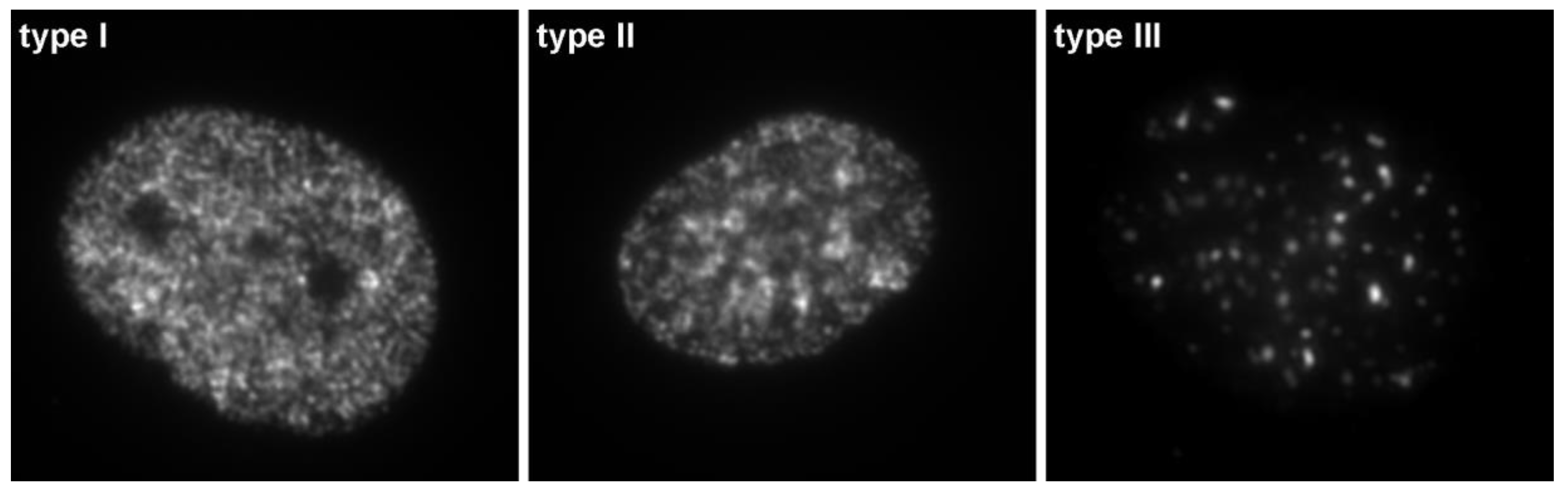 Molecules 23 03007 g003