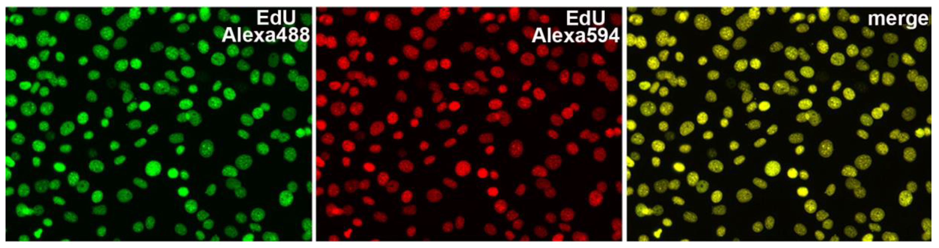 Molecules 23 03007 g005