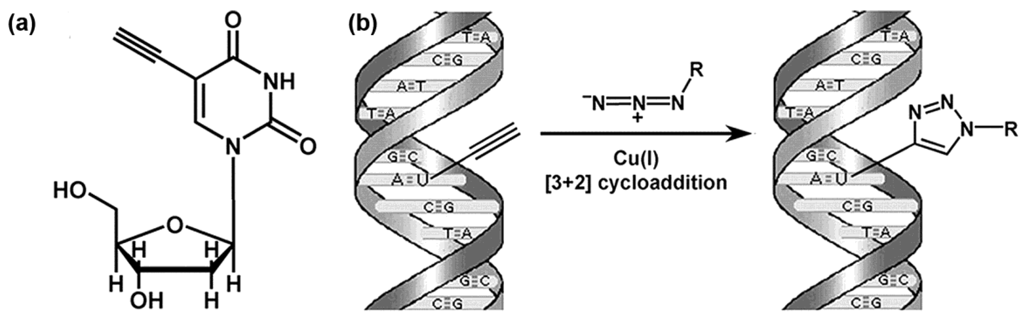Molecules 23 03007 g006