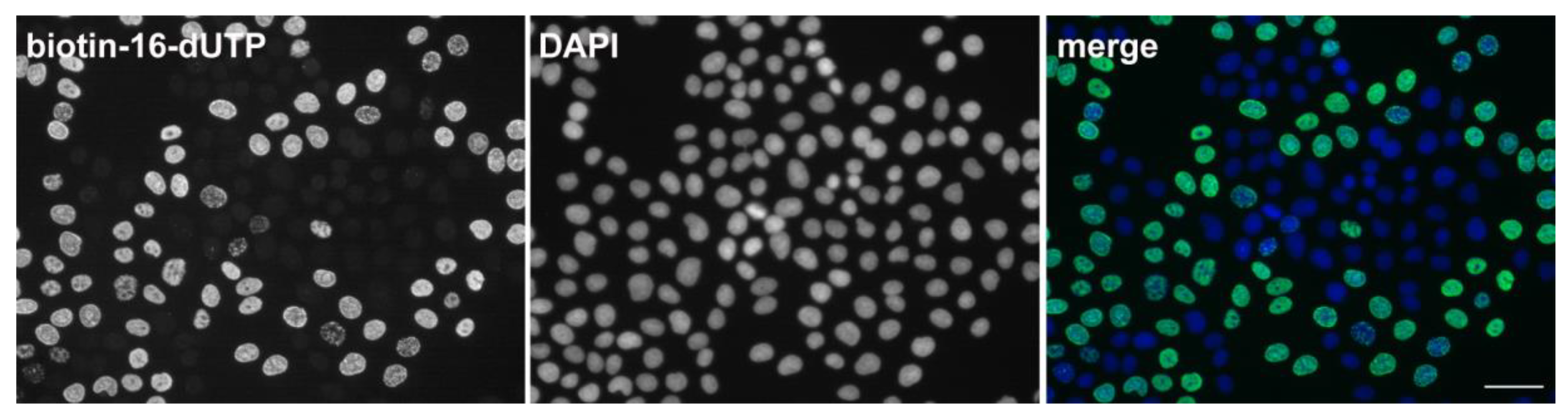 Molecules 23 03007 g008