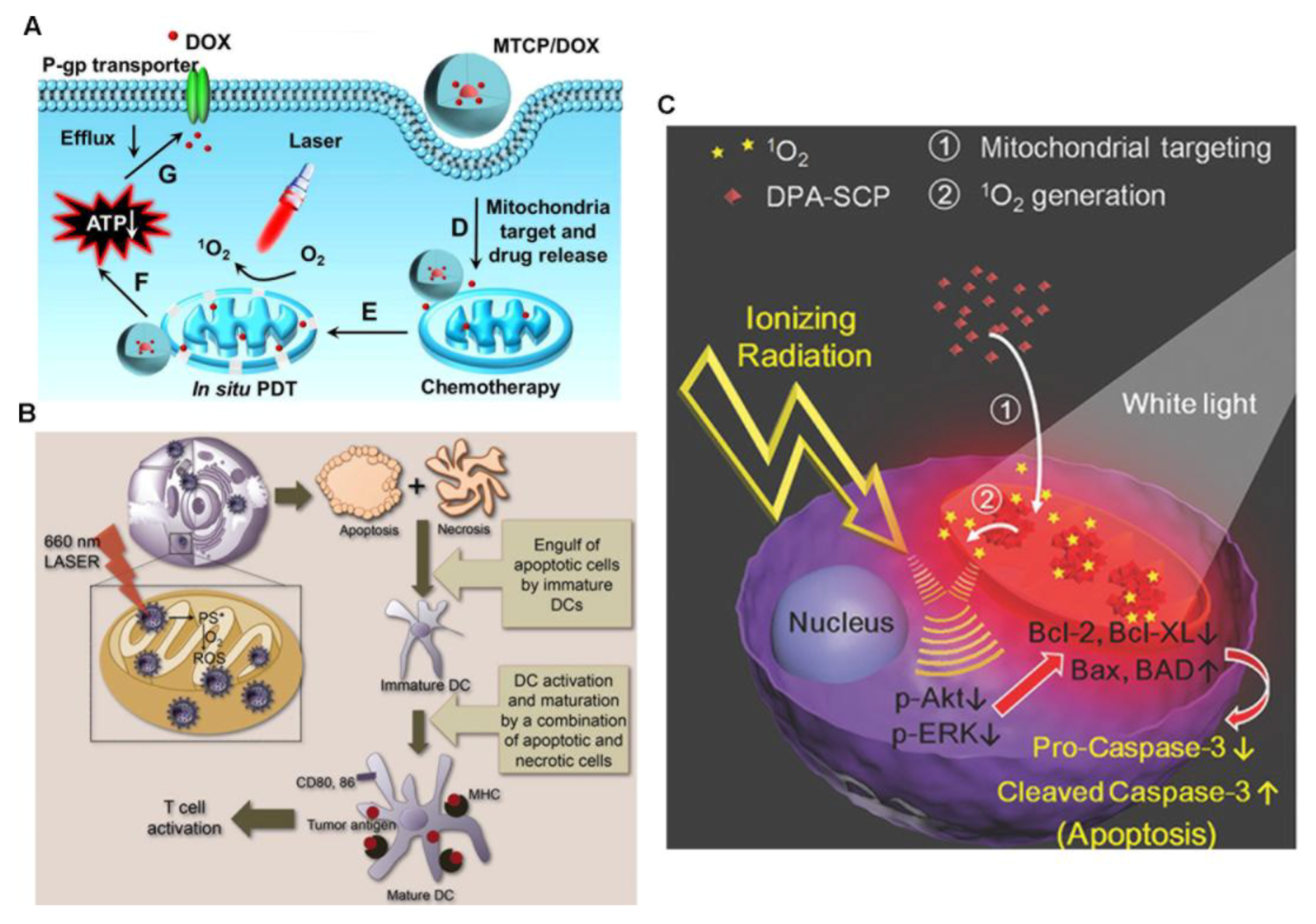 Molecules 23 03016 g005