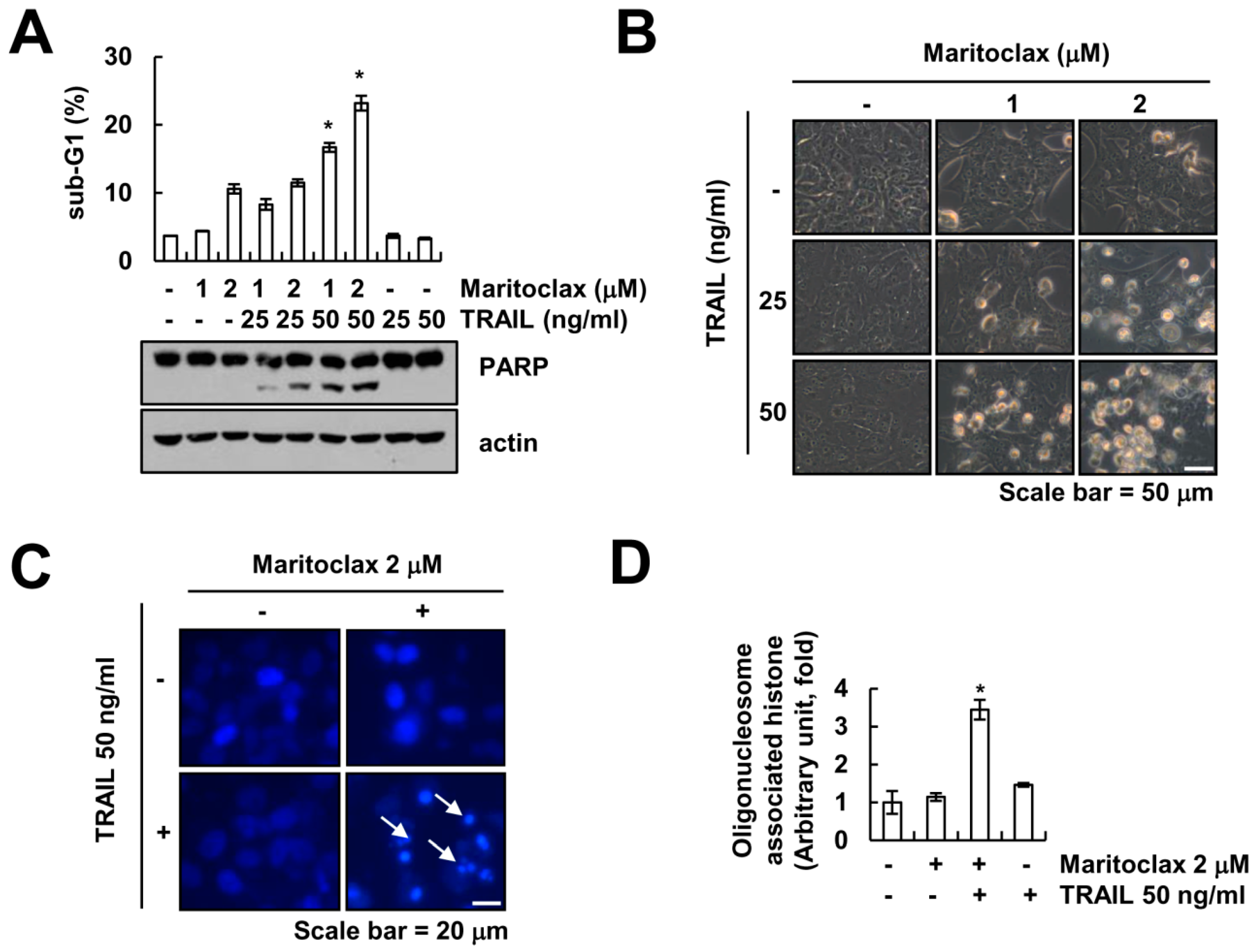 Molecules 23 03030 g001