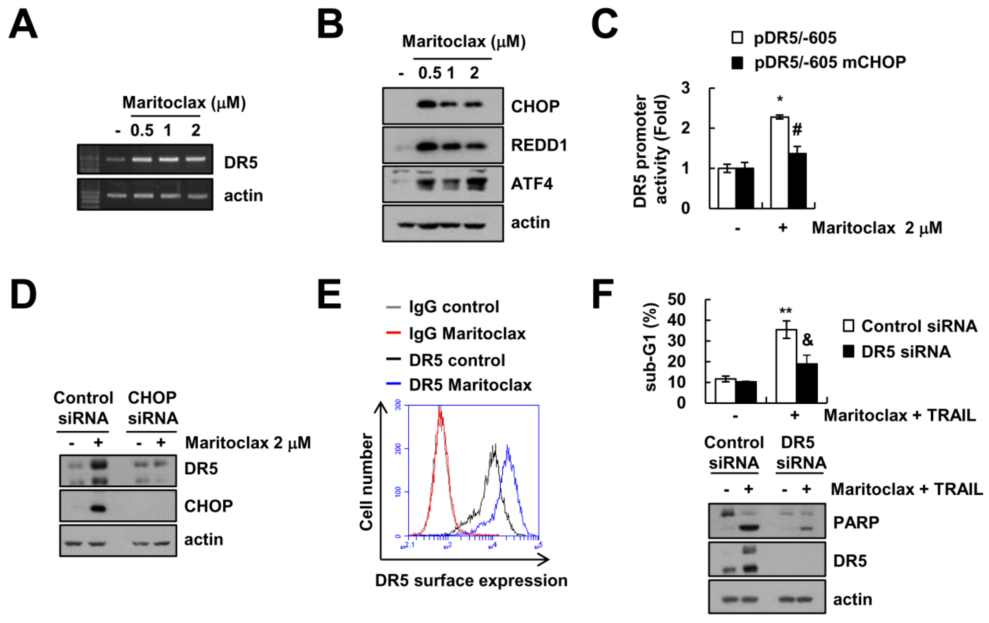 Molecules 23 03030 g003