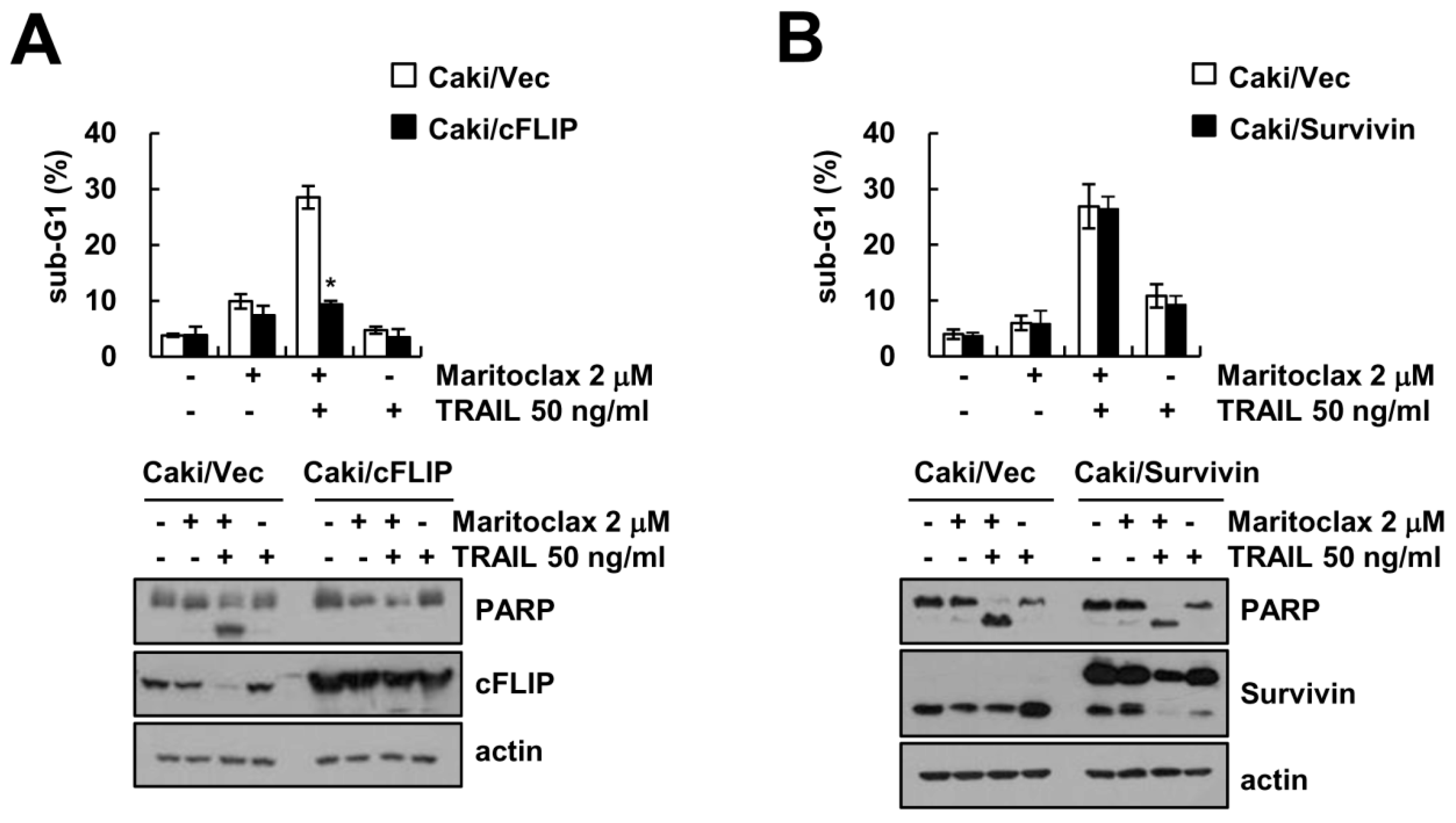 Molecules 23 03030 g004