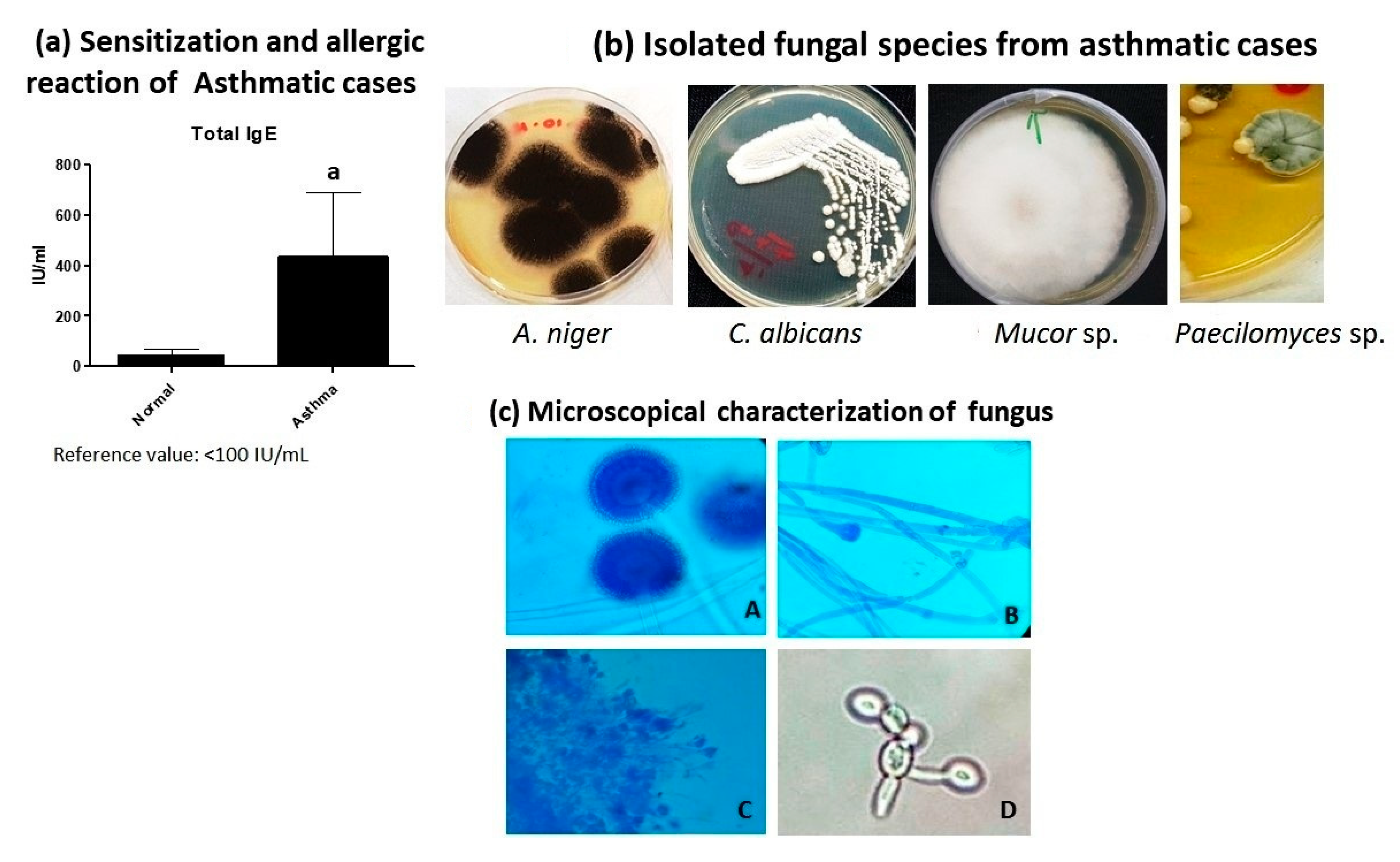Molecules 23 03032 g001