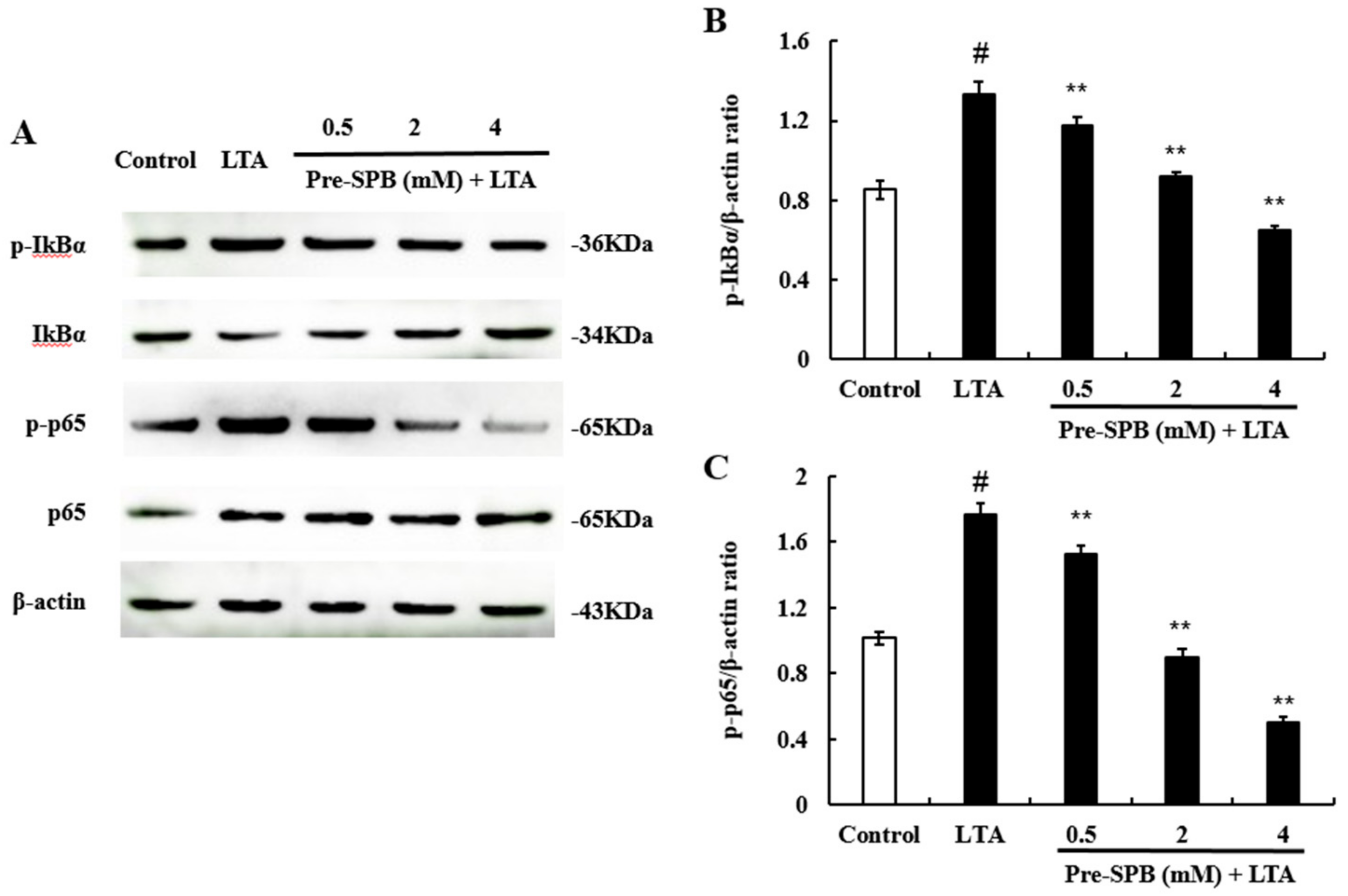 Molecules 23 03056 g004