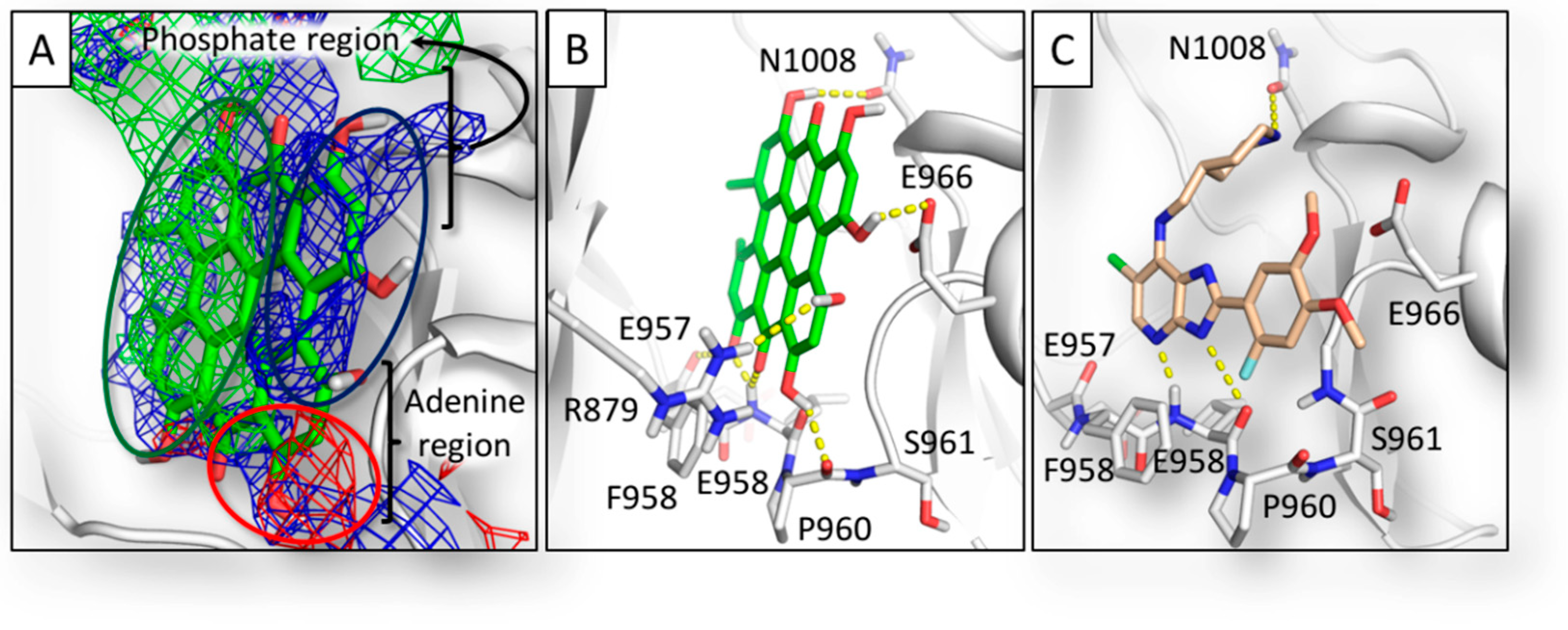 Molecules 23 03058 g006