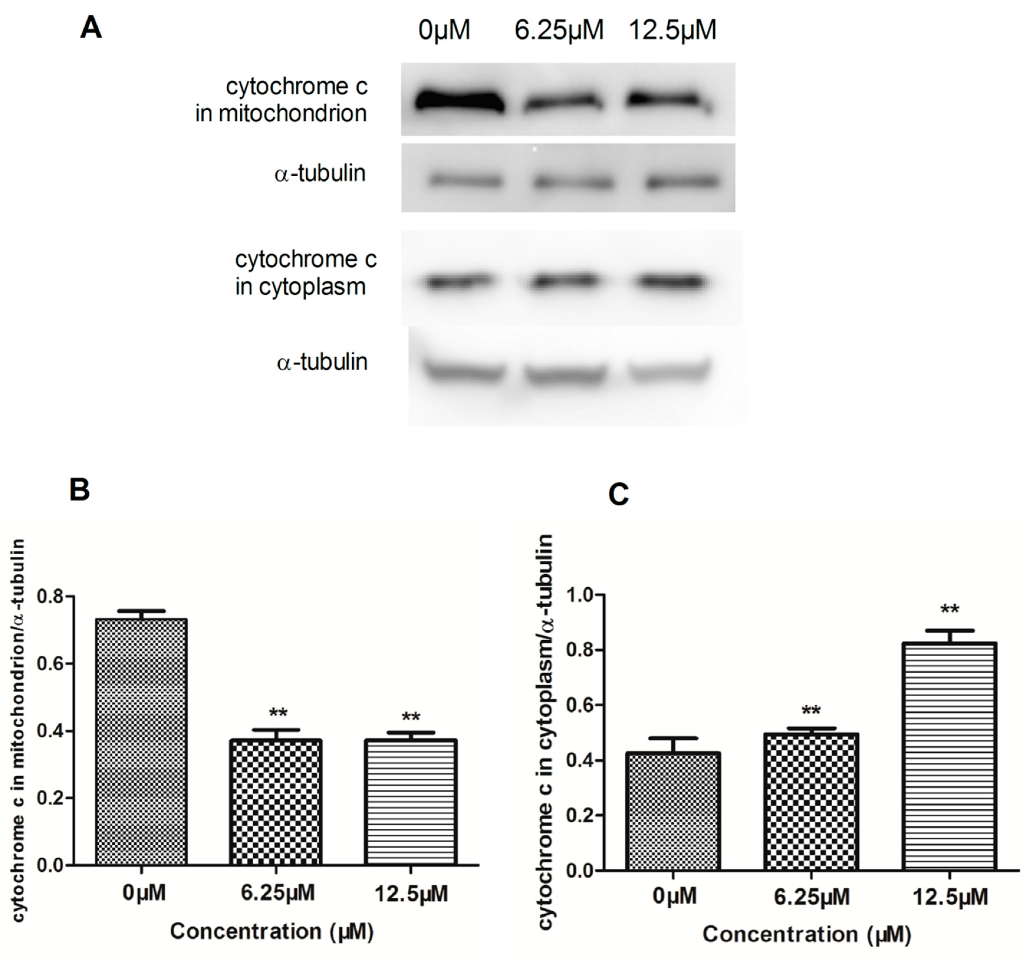 Molecules 23 03059 g005
