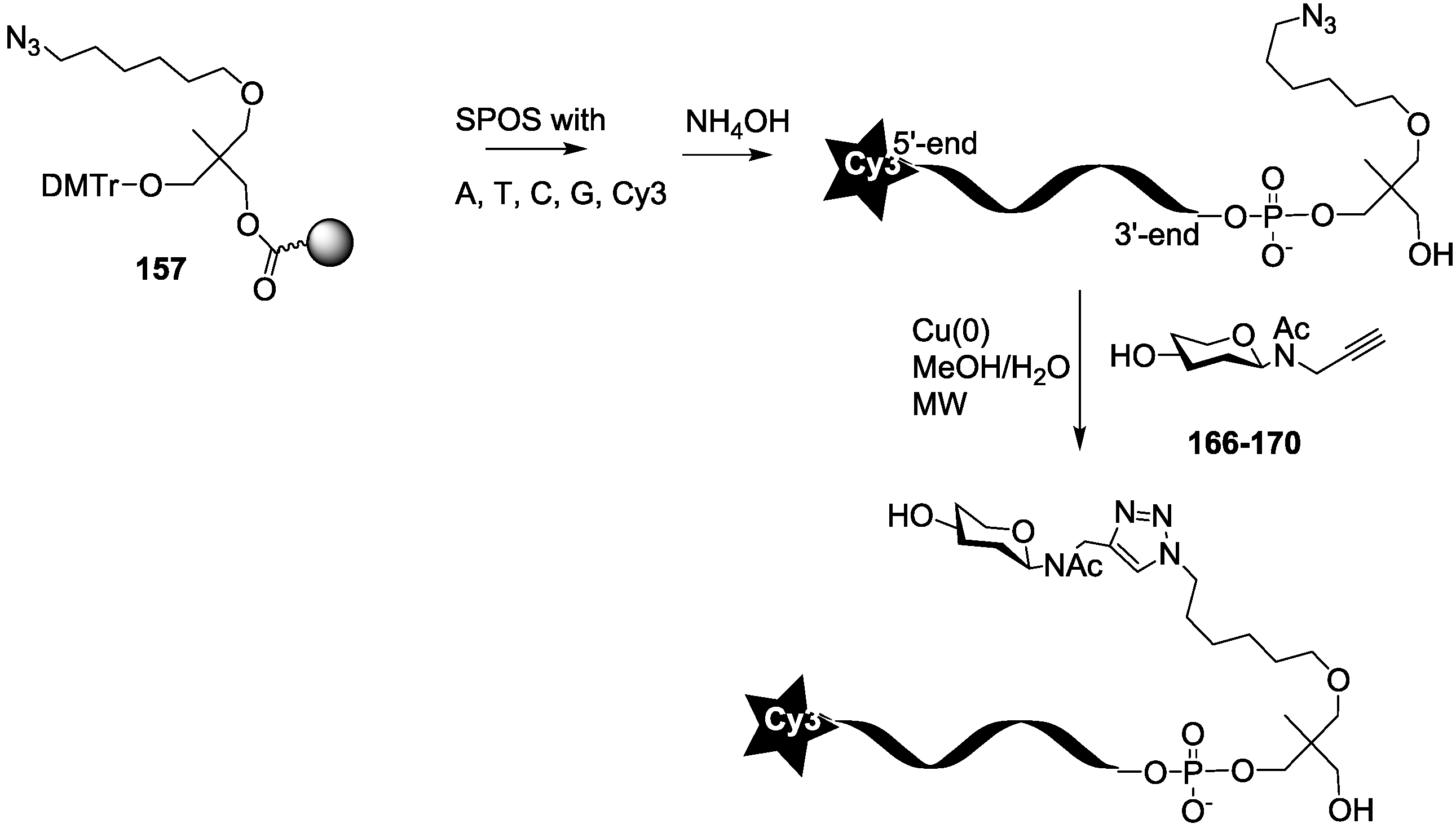 Molecules 23 03073 sch005 Molecules 23 03073 sch005