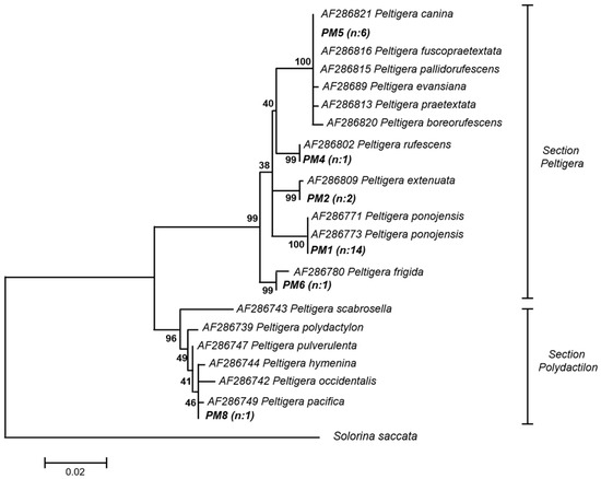 Molecules 23 03077 g0a1