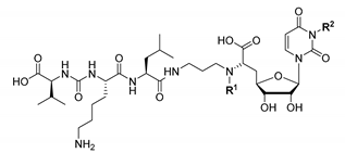 Molecules 23 03085 i001