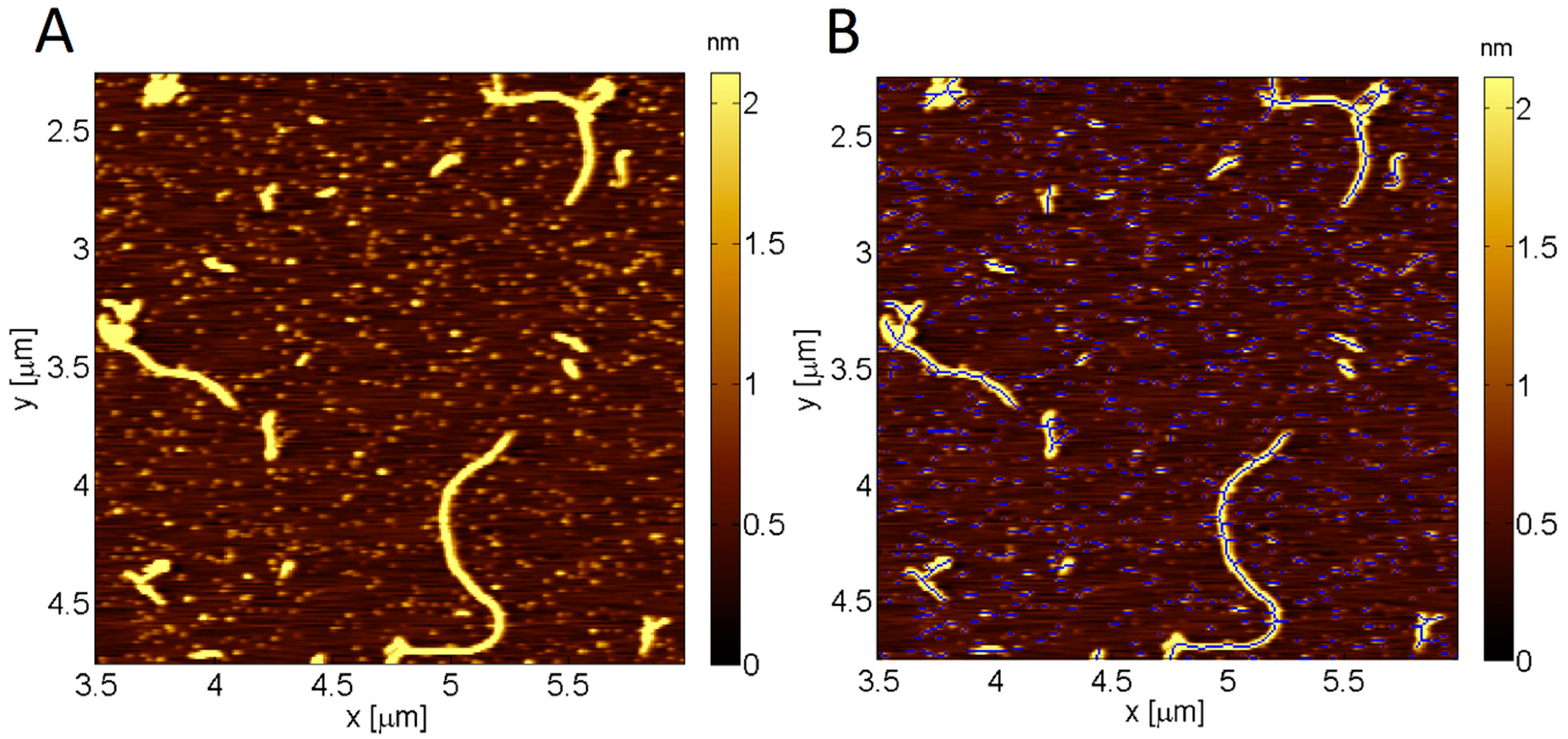 Molecules 23 03089 g004 Molecules 23 03089 g004
